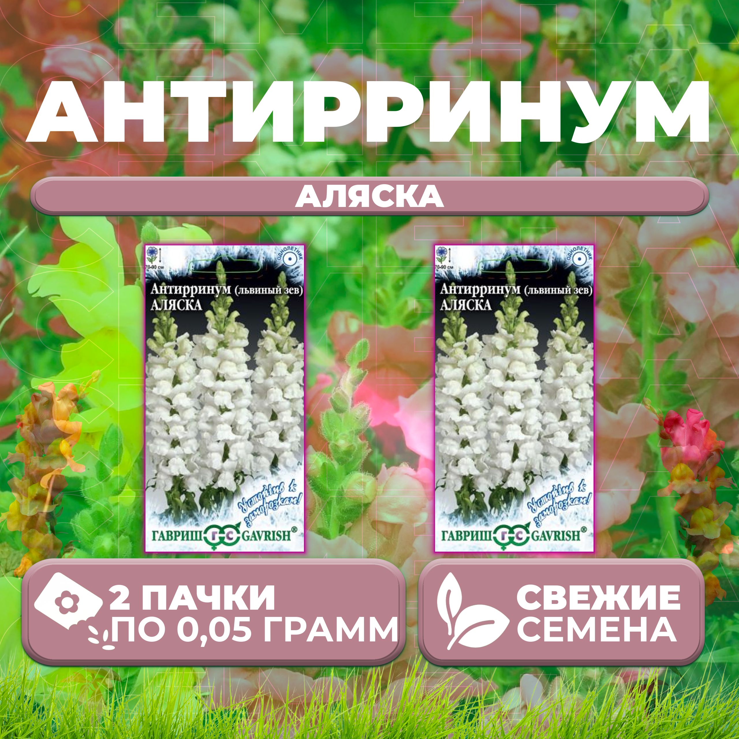 

Семена Антирринум (Львиный зев) Аляска, 0,05г, Гавриш, Устойчив к заморозкам (2 уп)