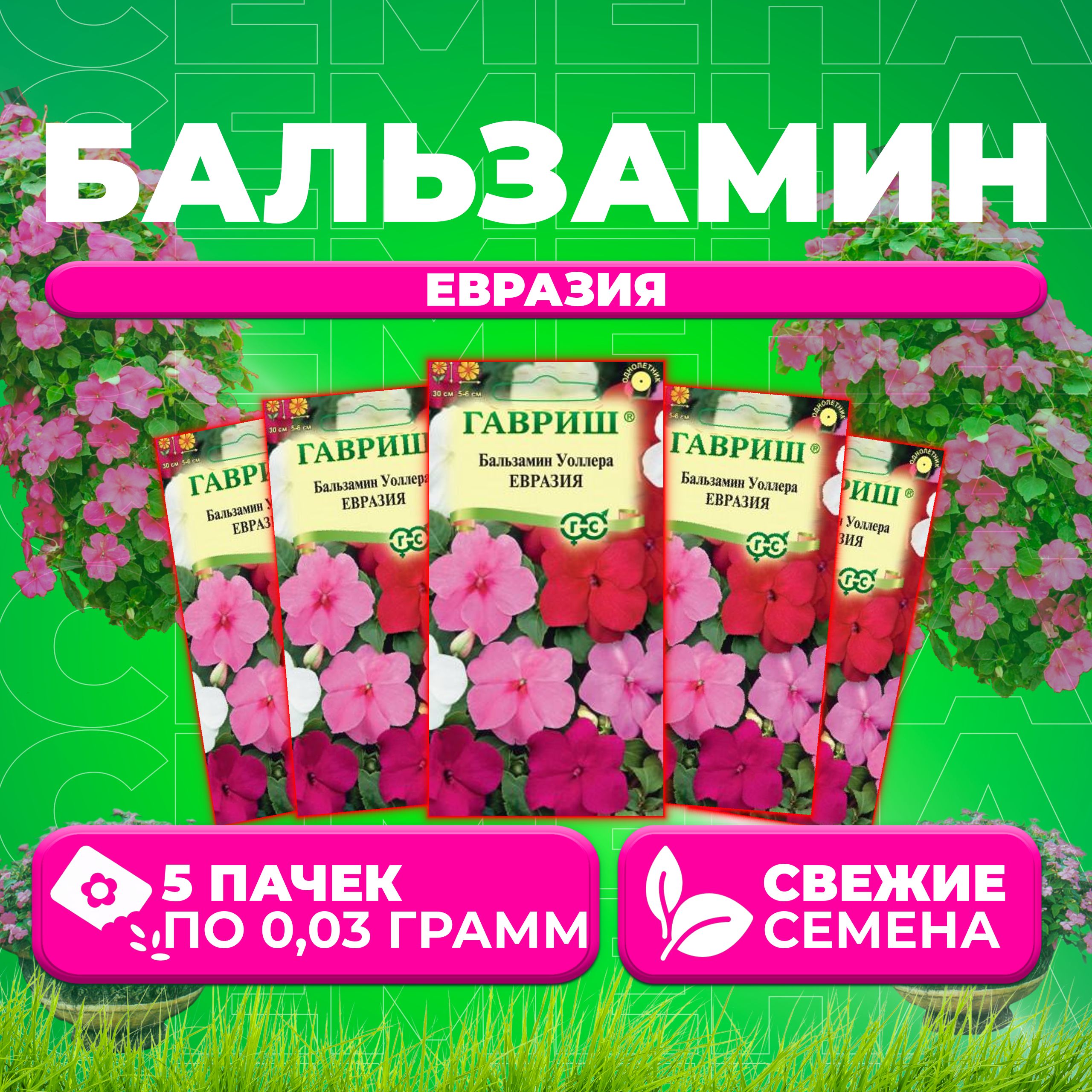 

Семена Бальзамин Уоллера Евразия, смесь, 0,03г, Гавриш, Цветочная коллекция (5 уп)
