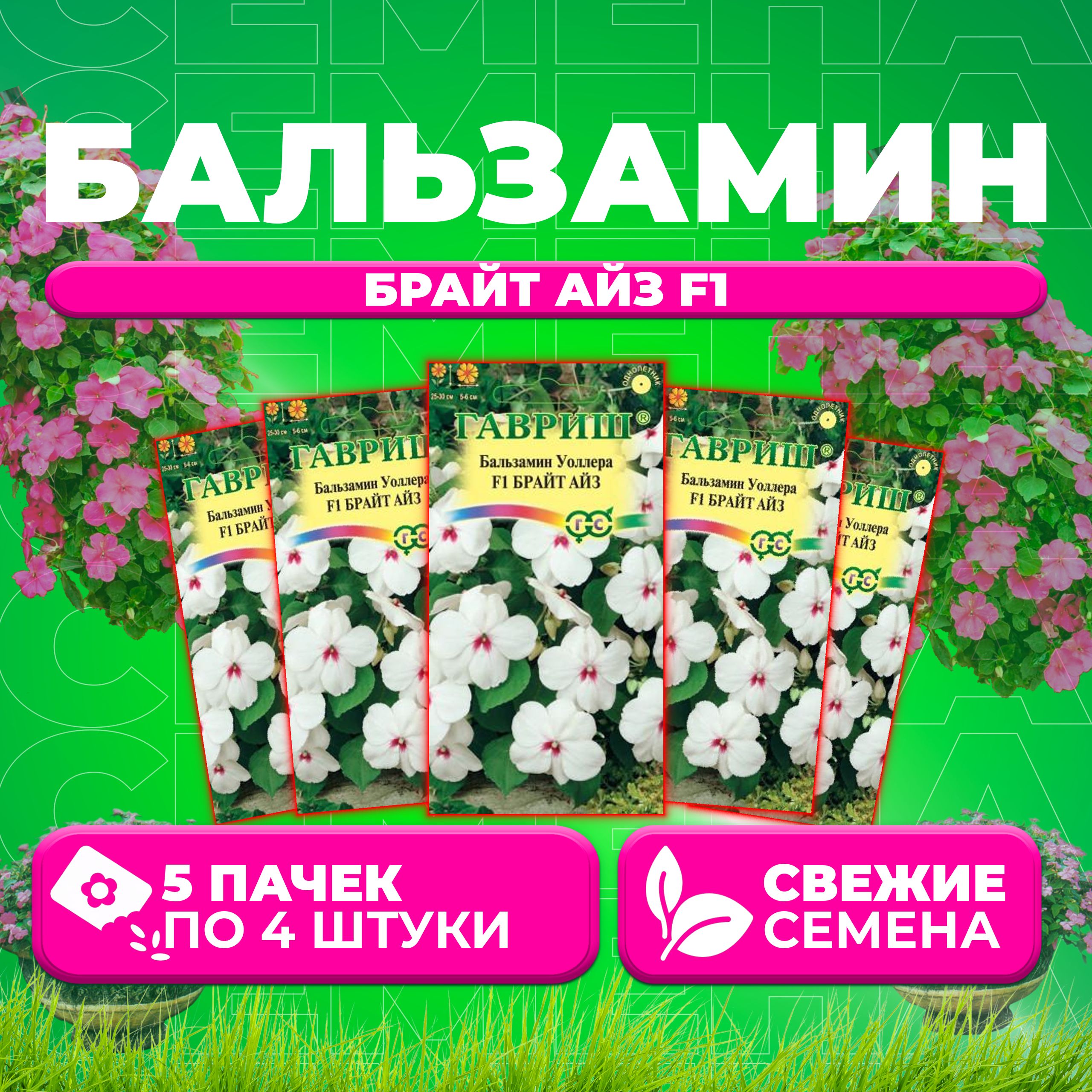 

Семена Бальзамин Уоллера Брайт Айз F1, 4шт, Гавриш, Цветочная коллекция (5 уп)