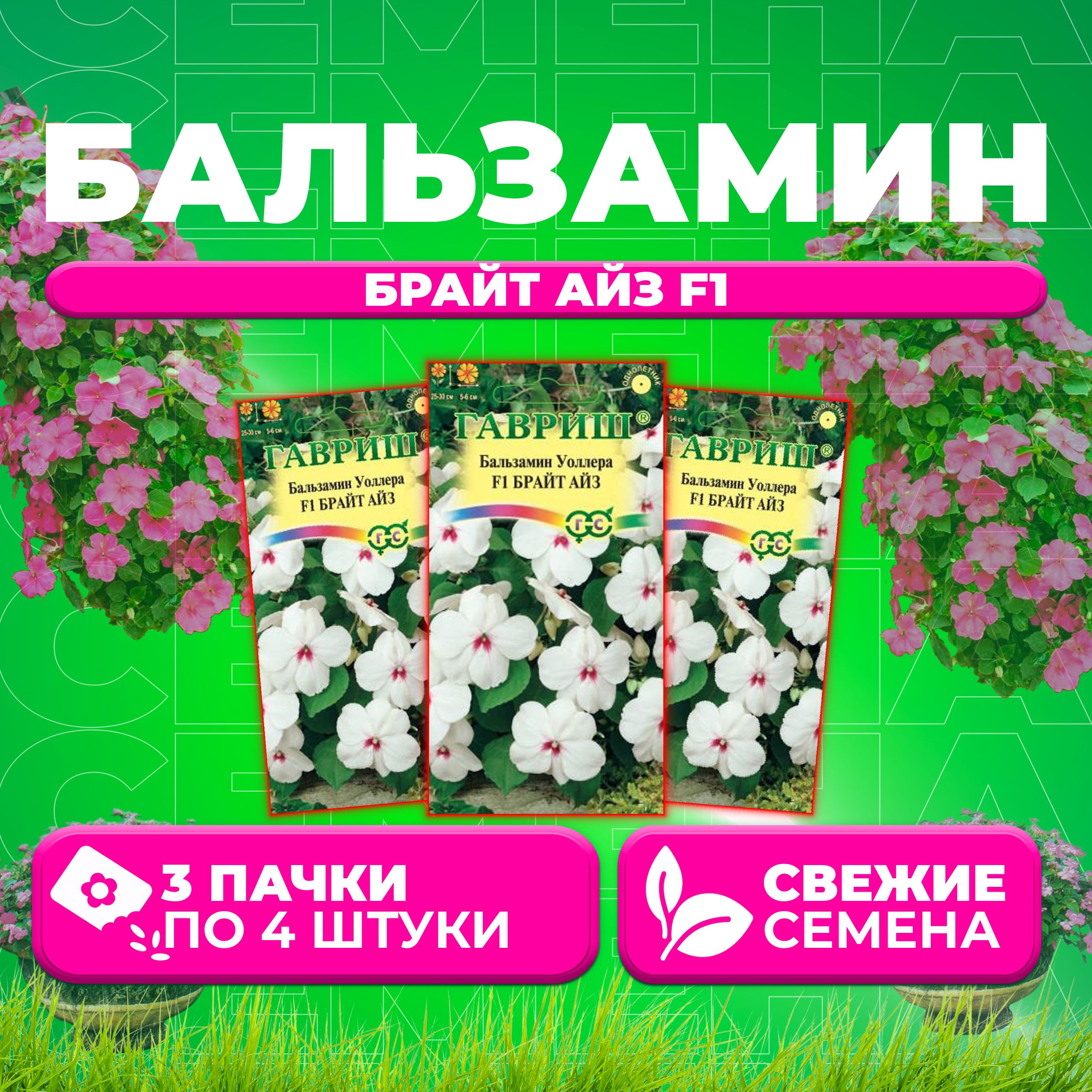 

Семена Бальзамин Уоллера Брайт Айз F1, 4шт, Гавриш, Цветочная коллекция (3 уп)