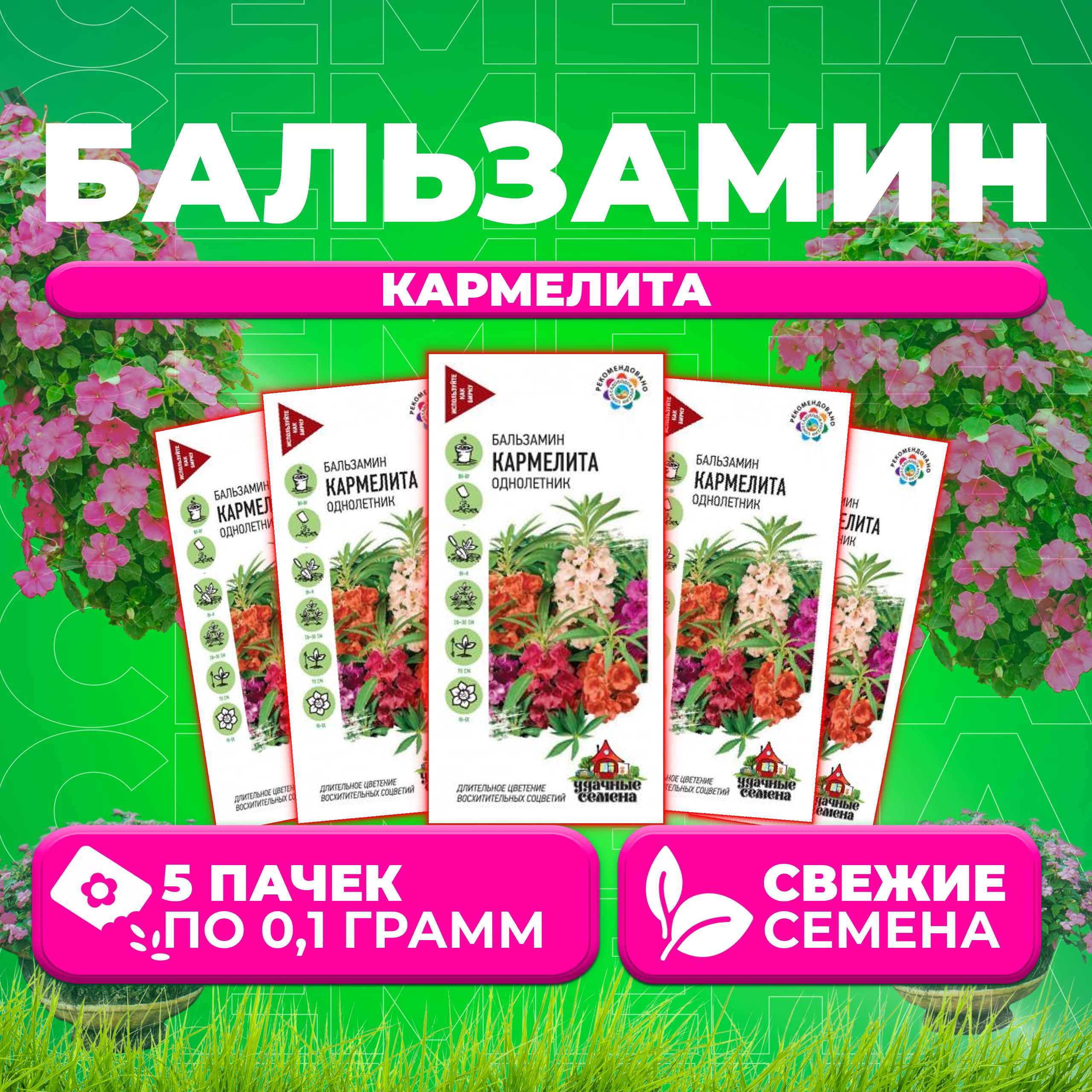 

Семена Бальзамин садовый Кармелита, смесь, 0,1г, Удачные семена (5 уп)