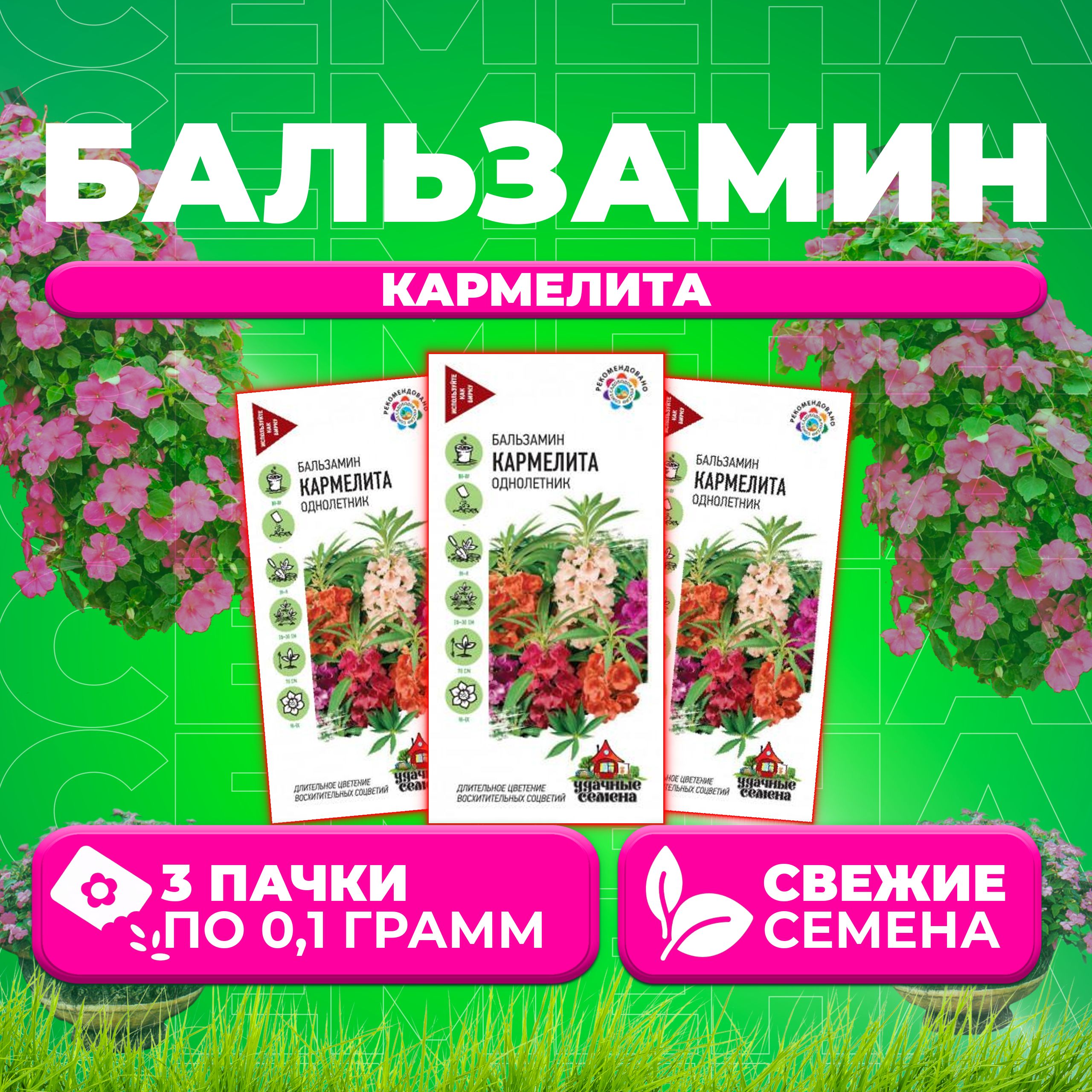 

Семена Бальзамин садовый Кармелита, смесь, 0,1г, Удачные семена (3 уп)