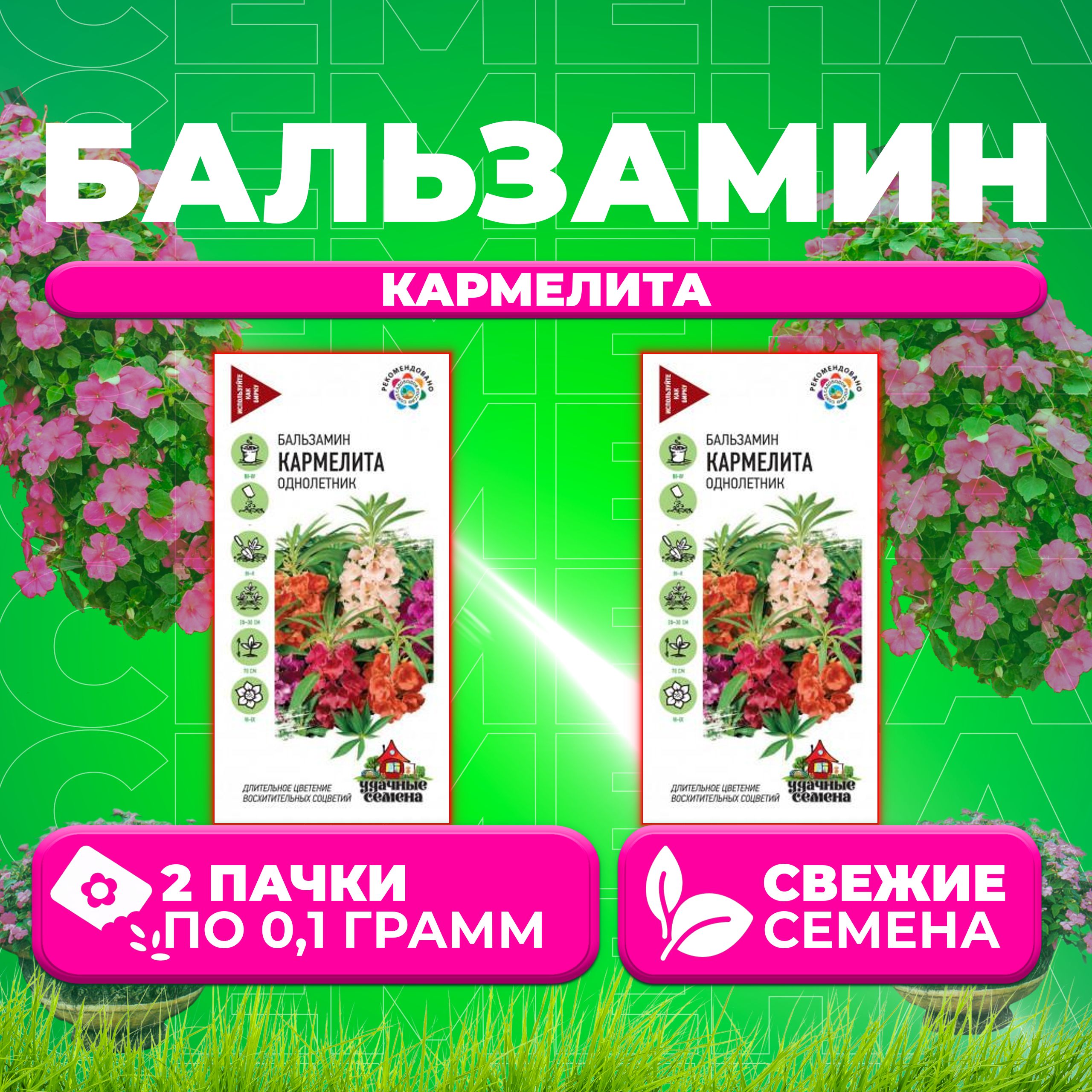 

Семена Бальзамин садовый Кармелита, смесь, 0,1г, Удачные семена (2 уп)