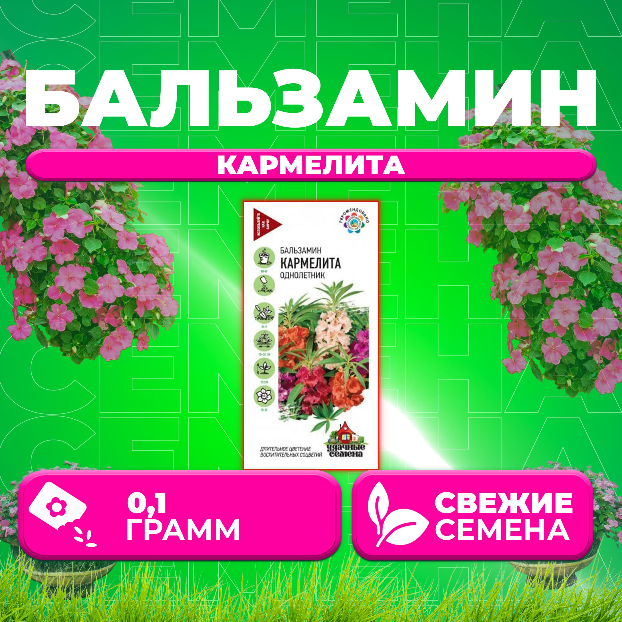 

Семена Бальзамин садовый Кармелита, смесь, 0,1г, Удачные семена (1 уп)