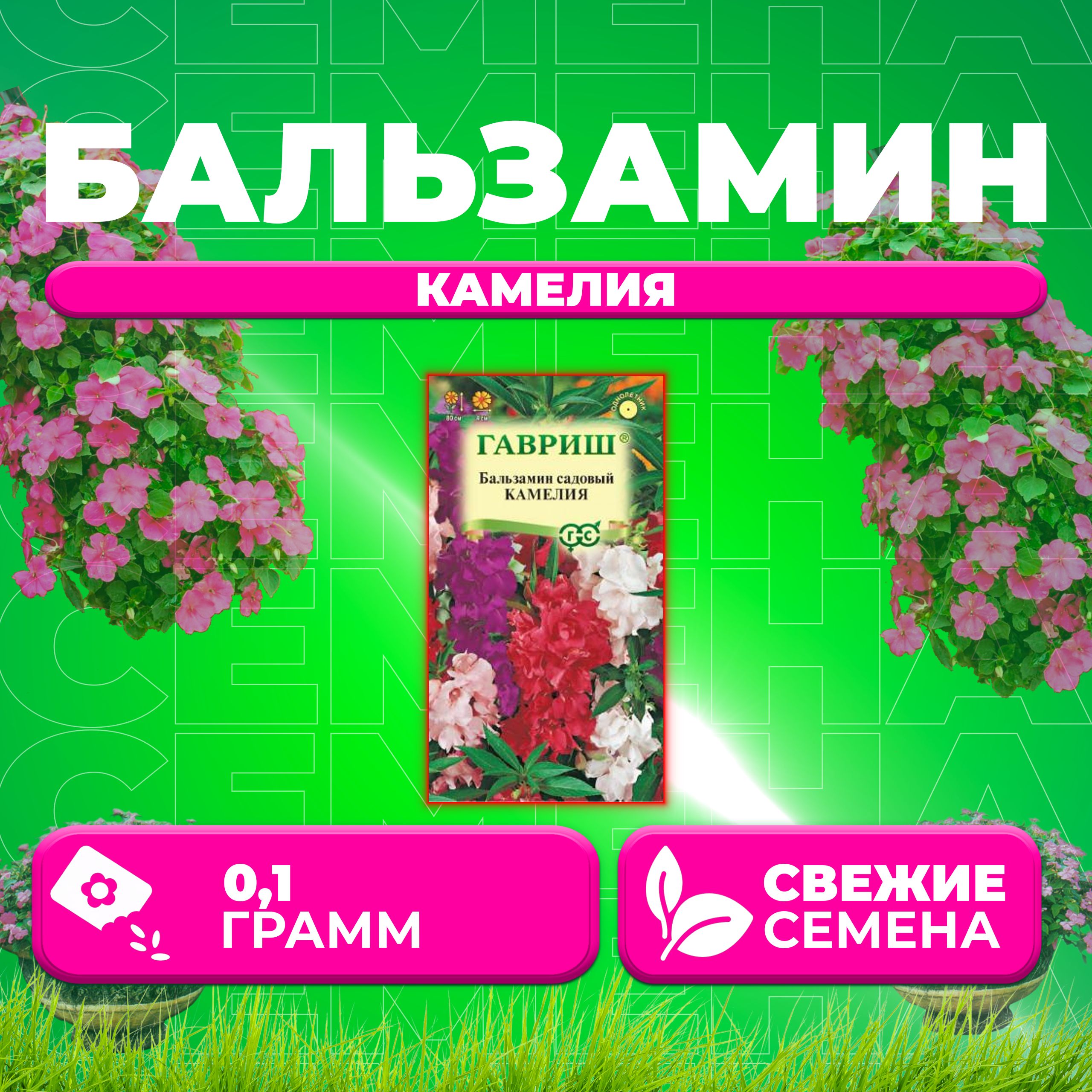 

Семена Бальзамин садовый Камелия, смесь, 0,1г, Гавриш, Цветочная коллекция (1 уп)