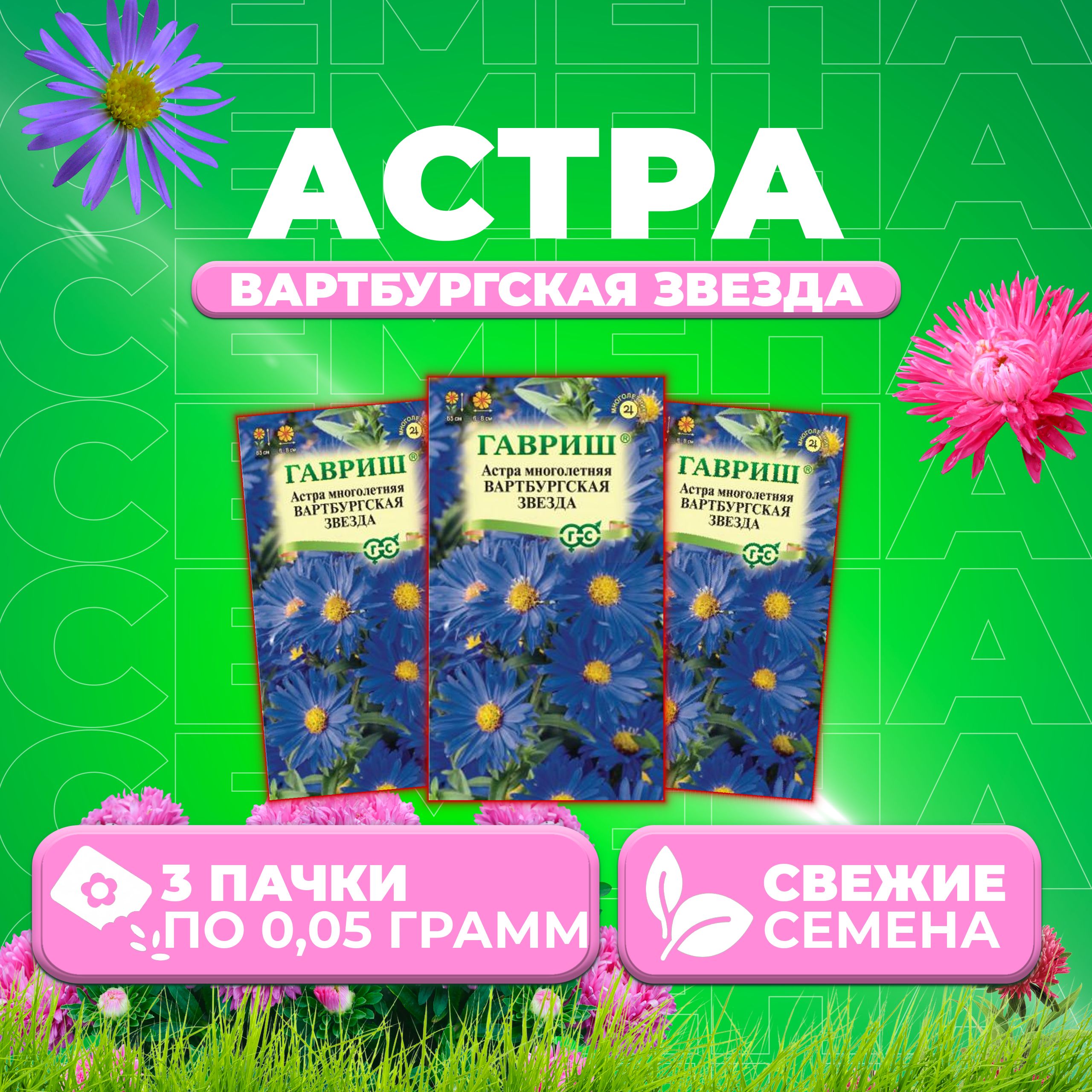

Семена Астра многолетняя Вартбургская звезда, 0,05г, Гавриш, Цветочная коллекция (3 уп)
