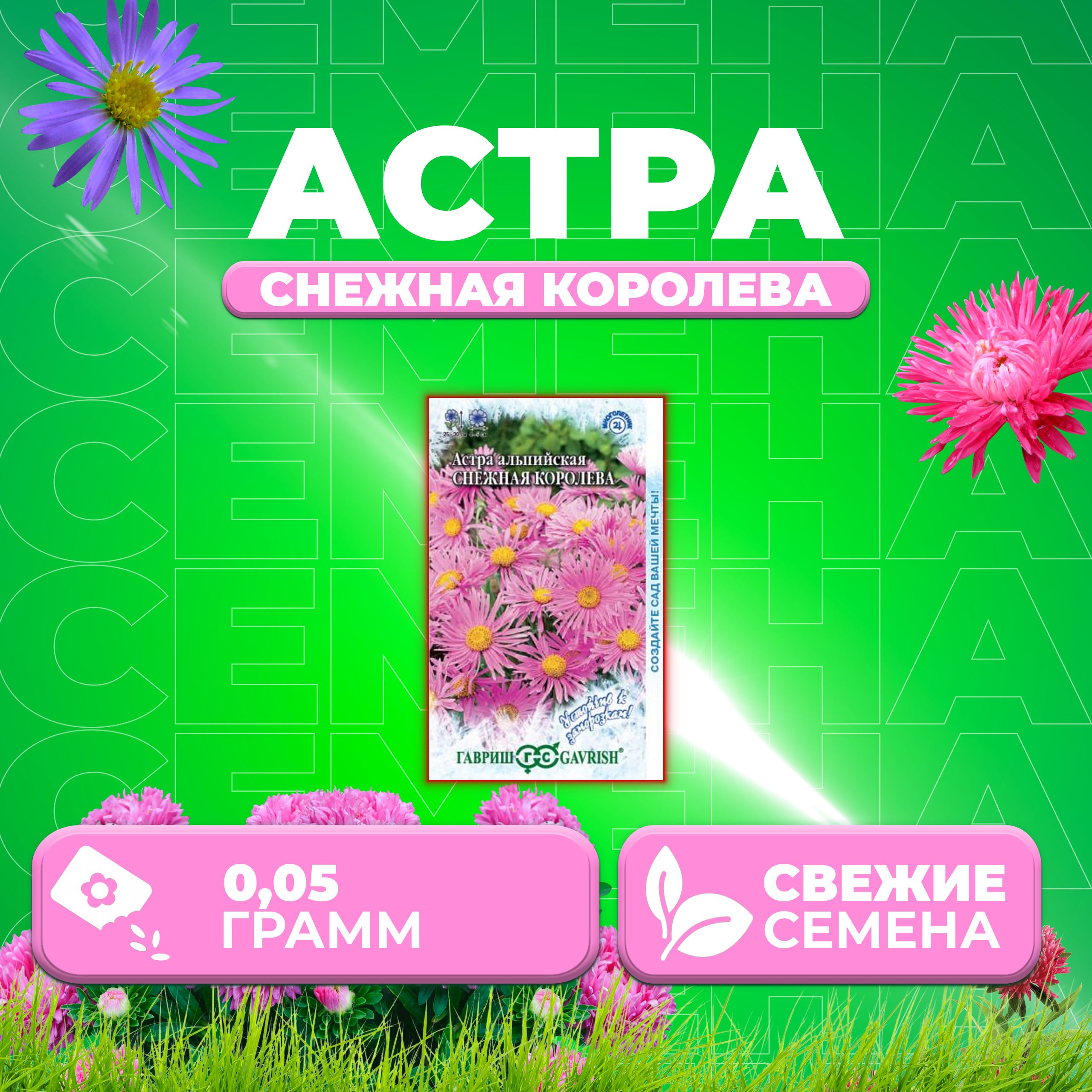 

Семена Астра альпийская Снежная королева, 0,05г, Гавриш, Устойчив к заморозкам (1 уп)