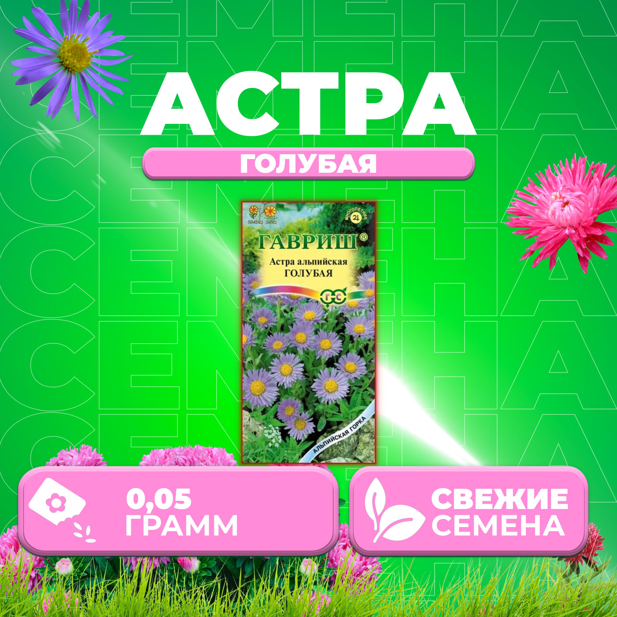 

Семена Астра альпийская голубая, 0,05г, Гавриш, Альпийская горка (1 уп)