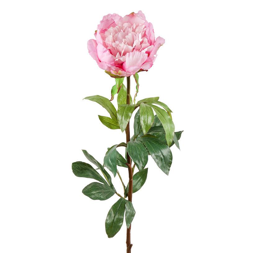 

Пион нежно розовый Decor-of-today КА22033