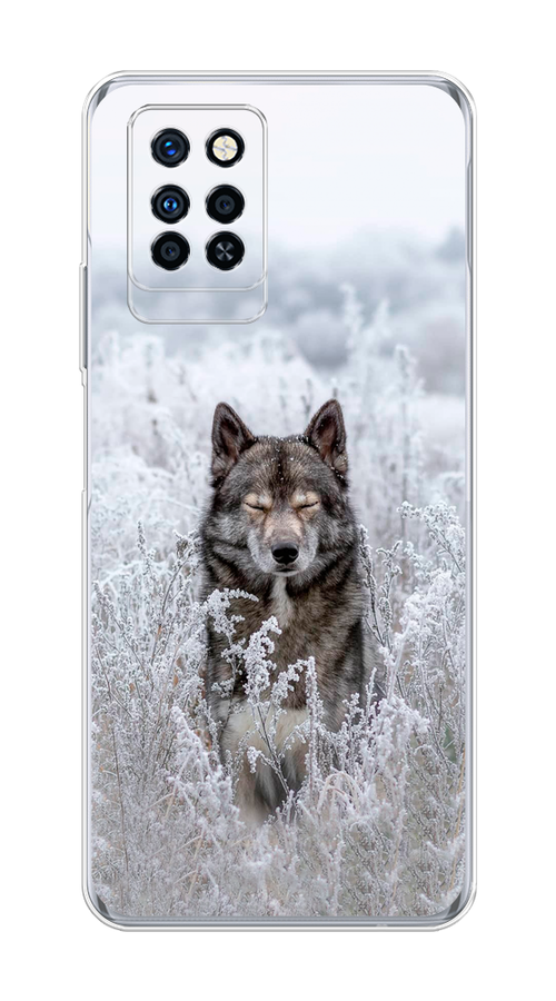 

Чехол Awog на Infinix Note 10 Pro "Волк в поле", Разноцветный, 3100150-1