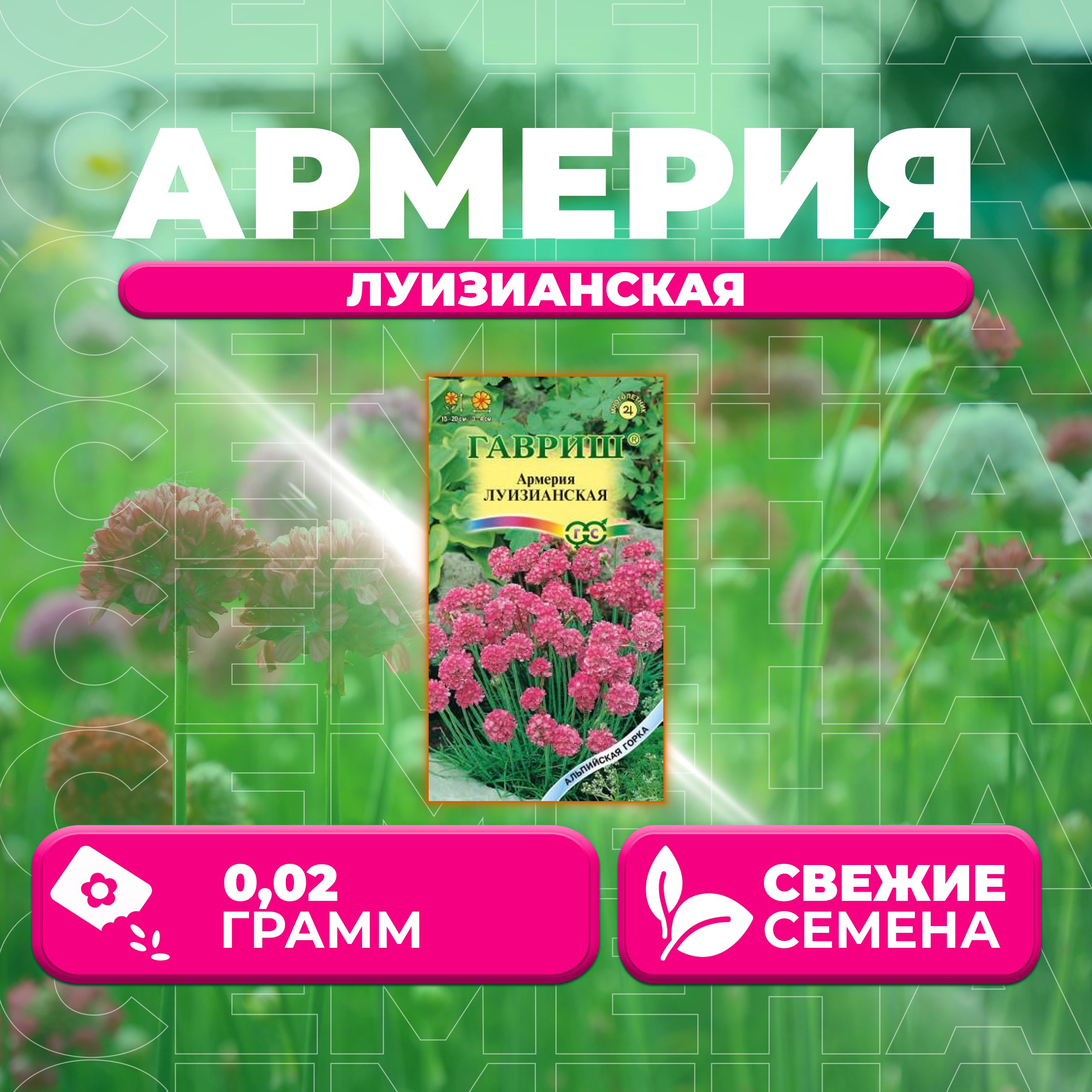 

Семена Армерия Луизианская, 0,02г, Гавриш, Альпийская горка (1 уп)