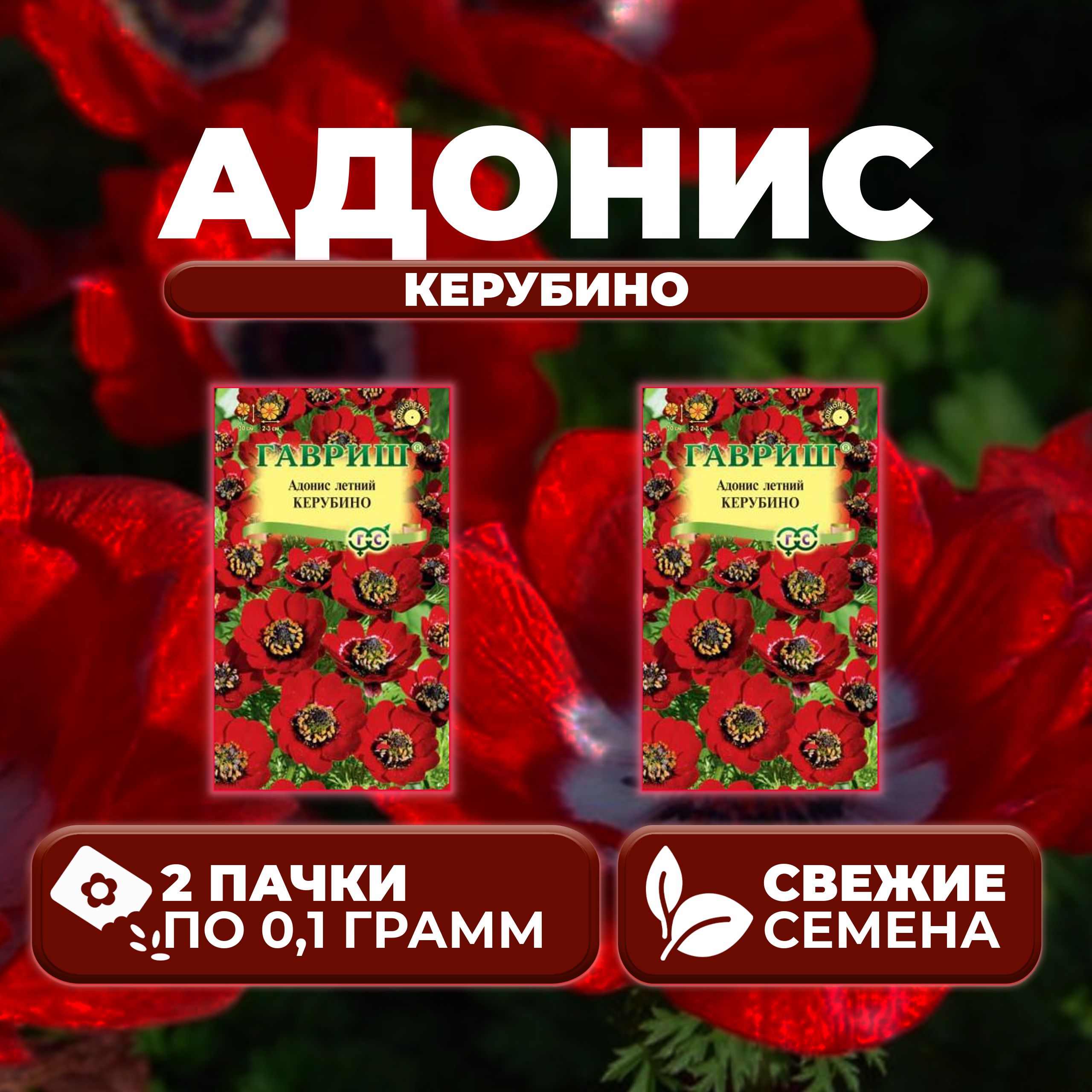 

Семена адонис Гавриш Керубино 1071856835-2 2 уп.