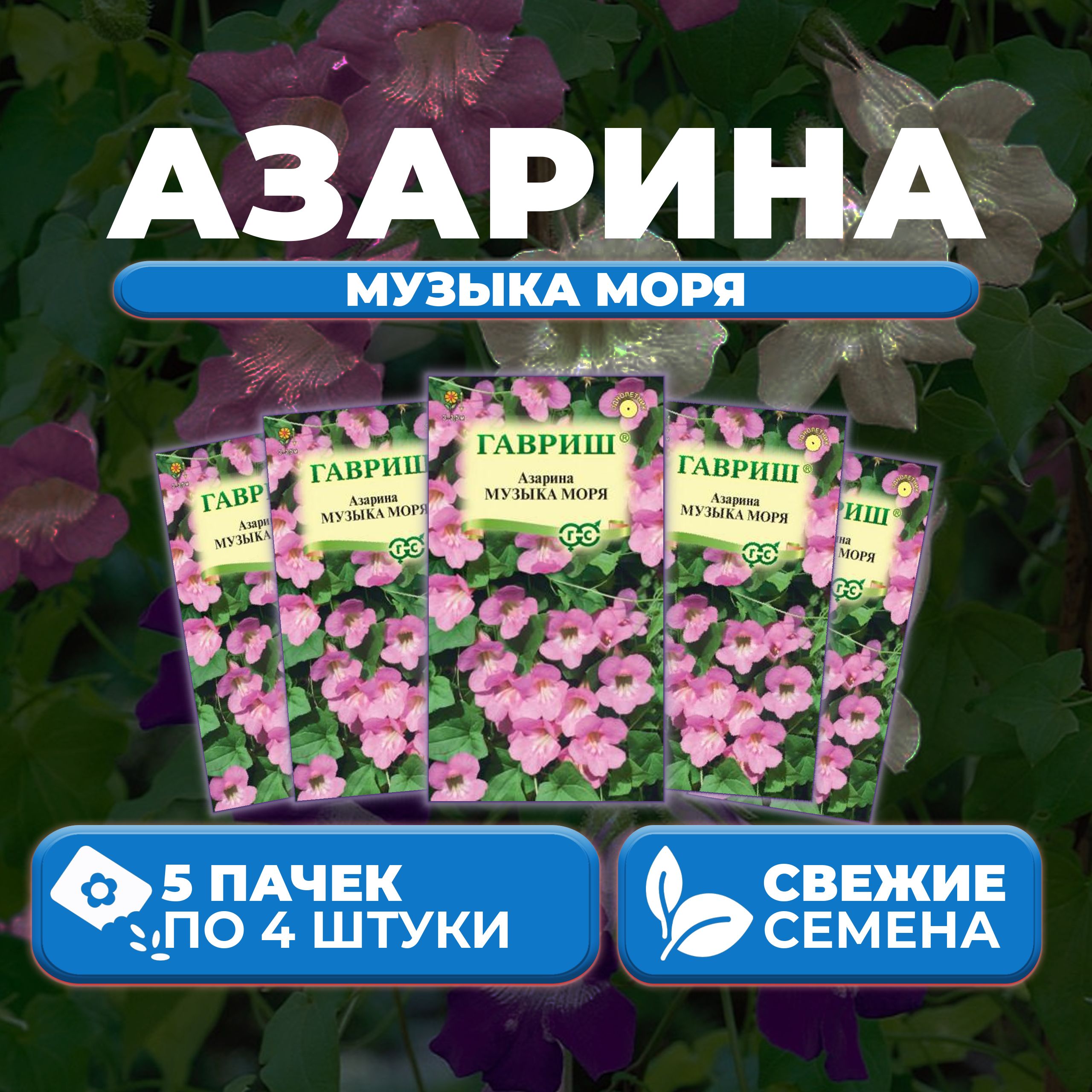 

Семена Азарина лазающая Музыка моря, 4шт, Гавриш, Цветочная коллекция (5 уп)