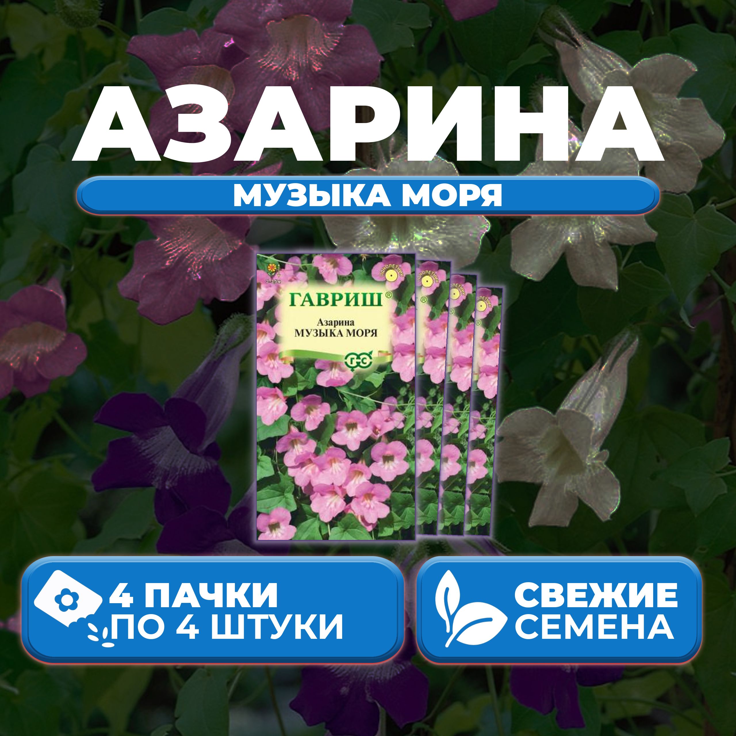 

Семена Азарина лазающая Музыка моря, 4шт, Гавриш, Цветочная коллекция (4 уп)