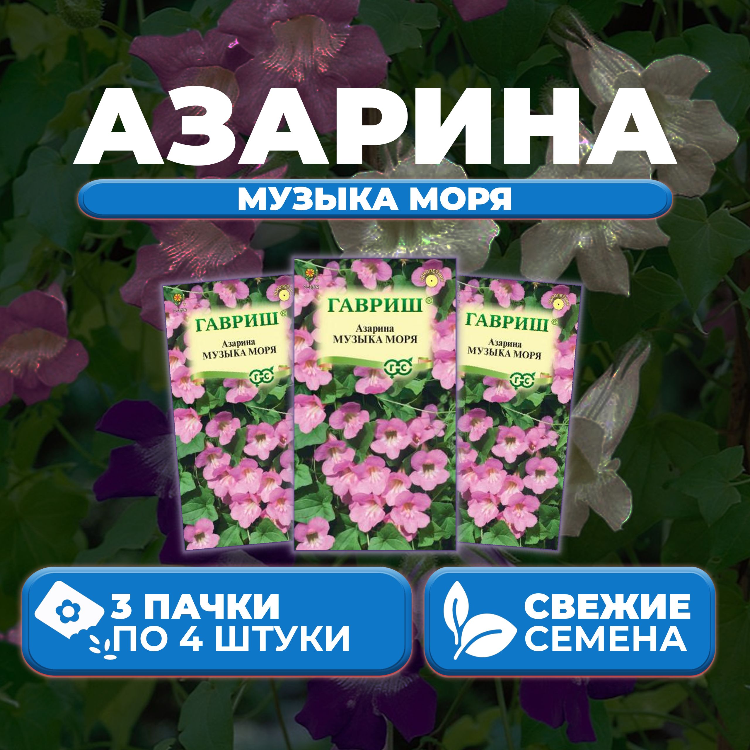 

Семена Азарина лазающая Музыка моря, 4шт, Гавриш, Цветочная коллекция (3 уп)