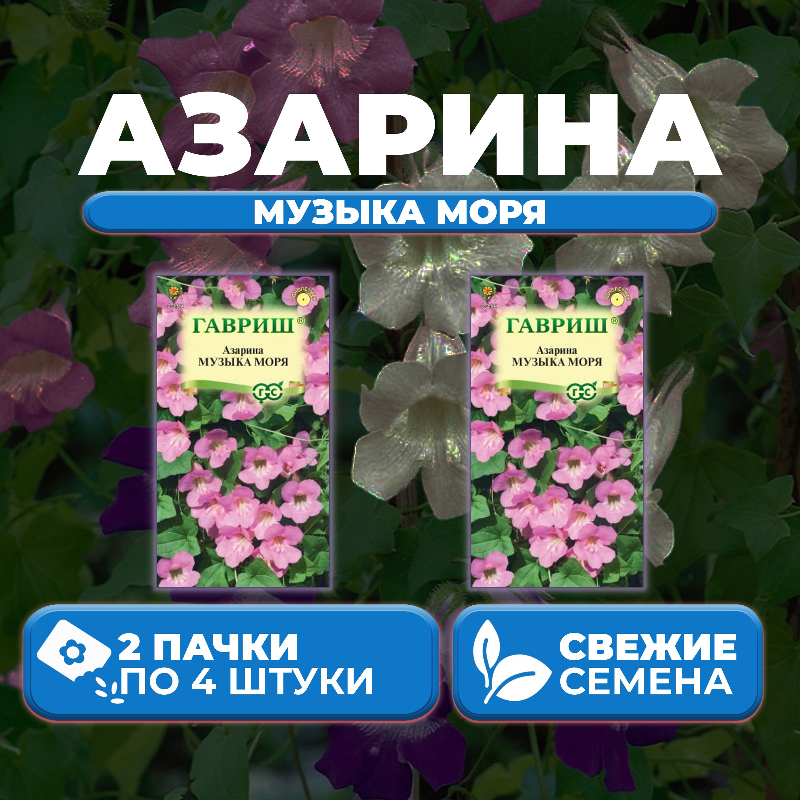 

Семена Азарина лазающая Музыка моря, 4шт, Гавриш, Цветочная коллекция (2 уп)