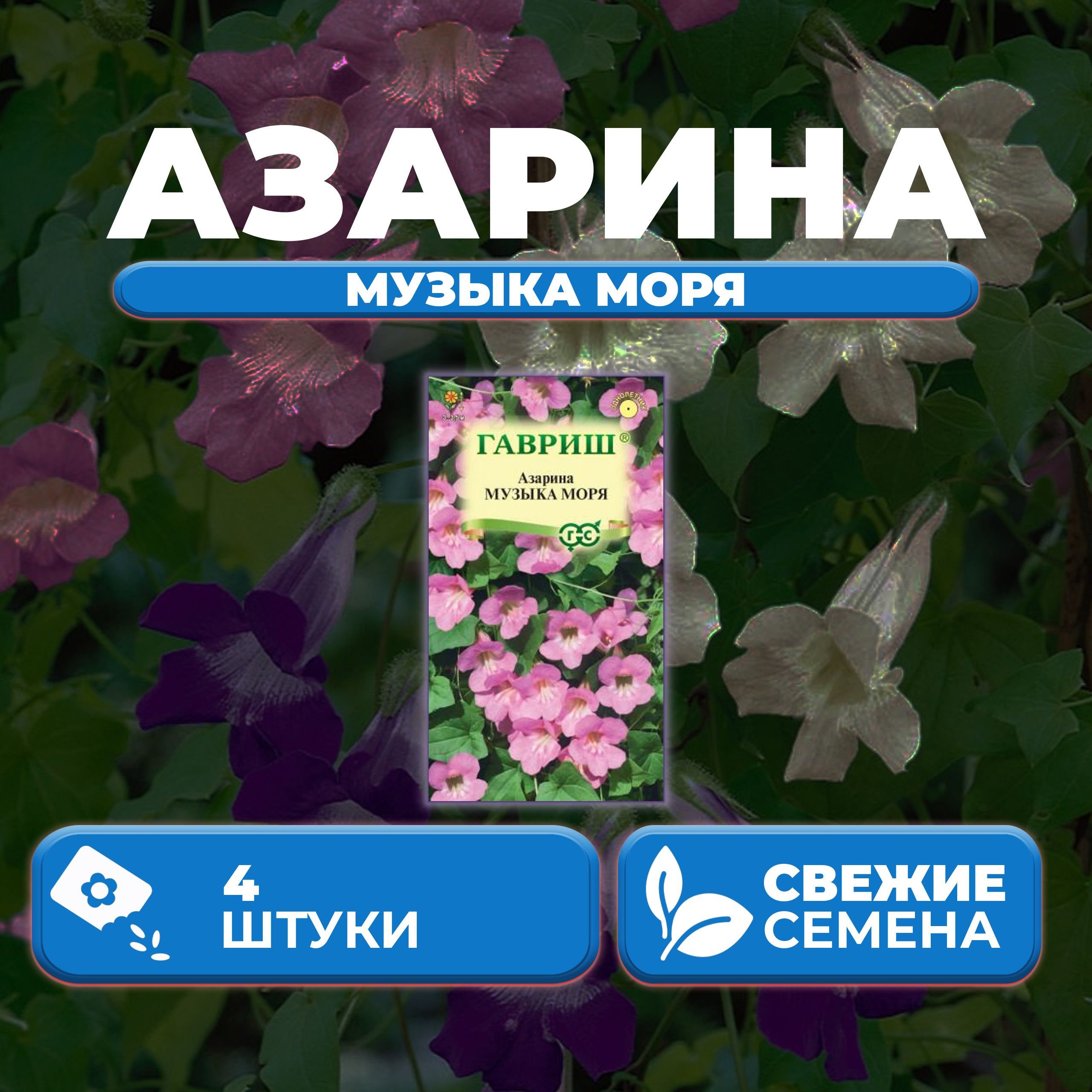 

Семена Азарина лазающая Музыка моря, 4шт, Гавриш, Цветочная коллекция (1 уп)
