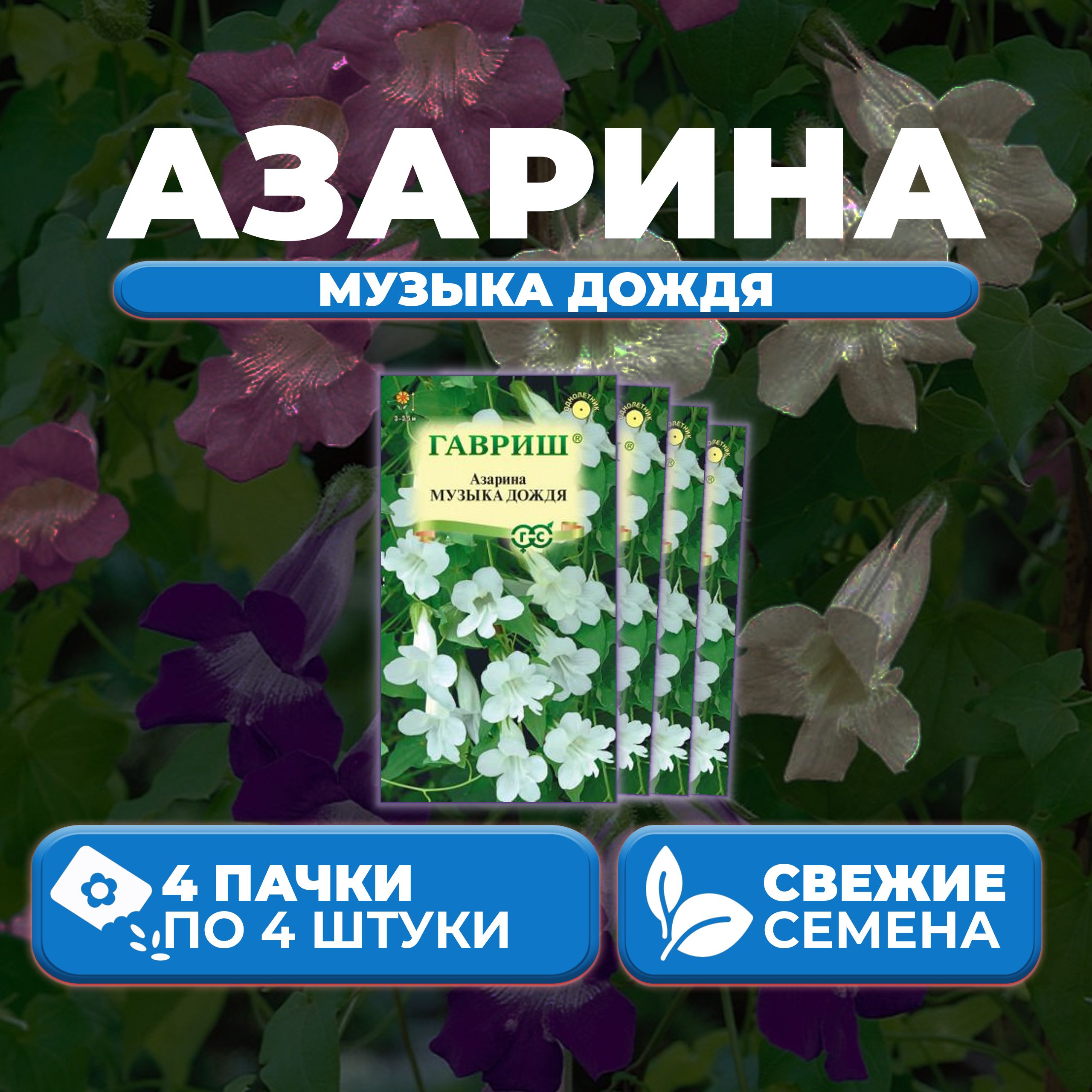 

Семена азарина Гавриш Музыка Дождя 1071856831-4 4 уп.