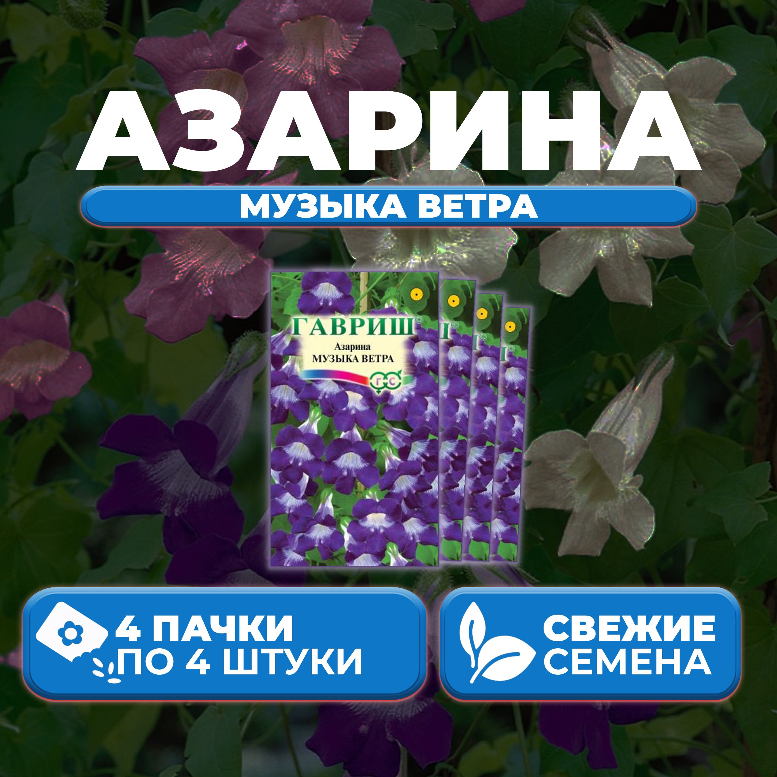 

Семена Азарина лазающая Музыка ветра, 4шт, Гавриш, Цветочная коллекция (4 уп)