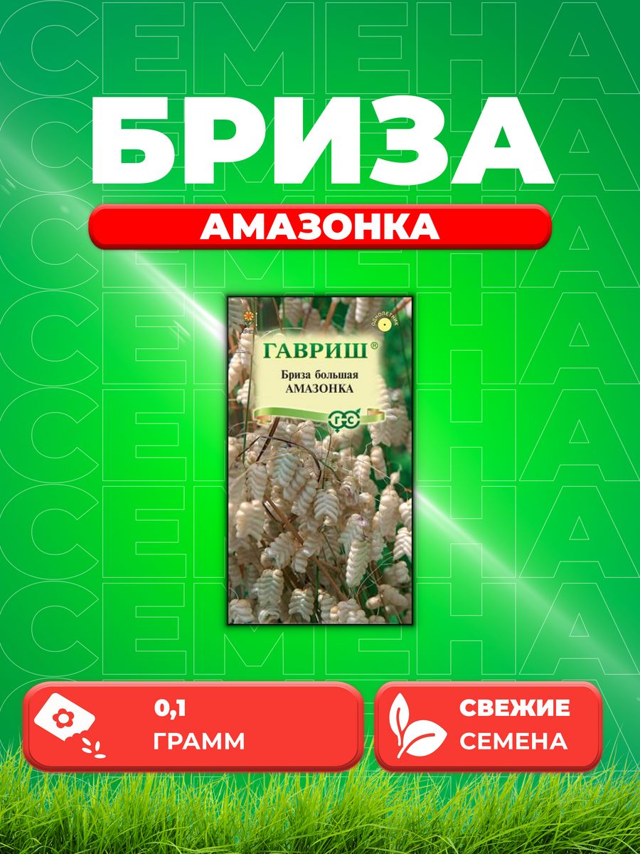 

Семена Бриза (трясунка) Амазонка, 0,1г, Гавриш