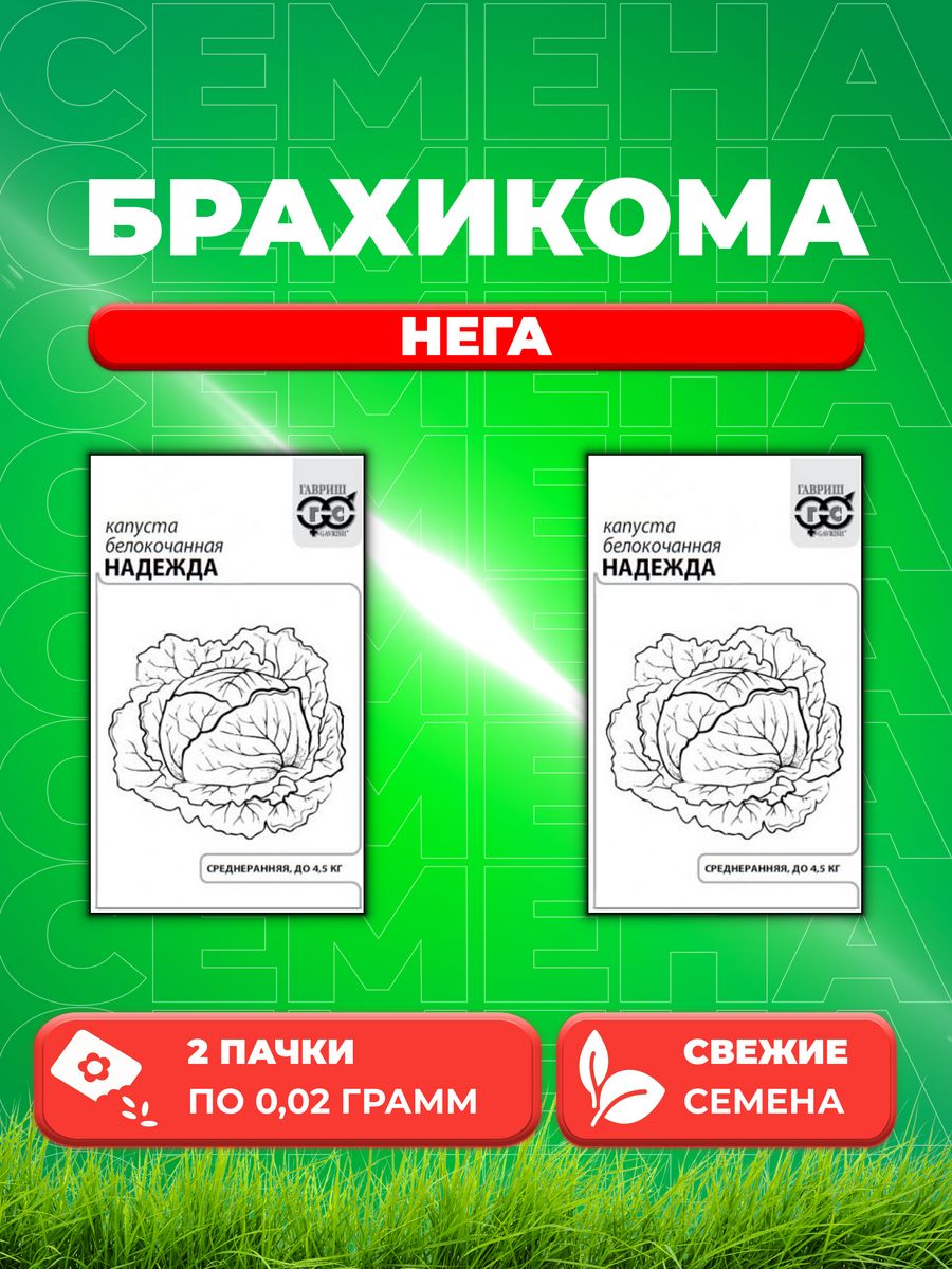 

Семена Брахикома иберисолистная Нега, смесь, 0,02г, Гавриш(2уп)