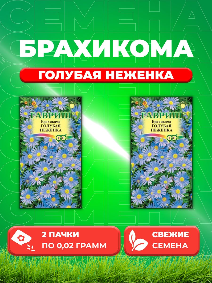 

Семена Брахикома иберисолистная Голубая неженка, 0,02г, Гавр(2уп)