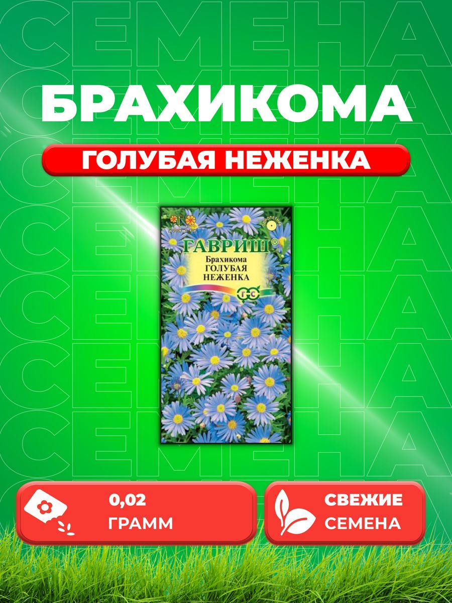 

Семена Брахикома иберисолистная Голубая неженка, 0,02г, Гавр