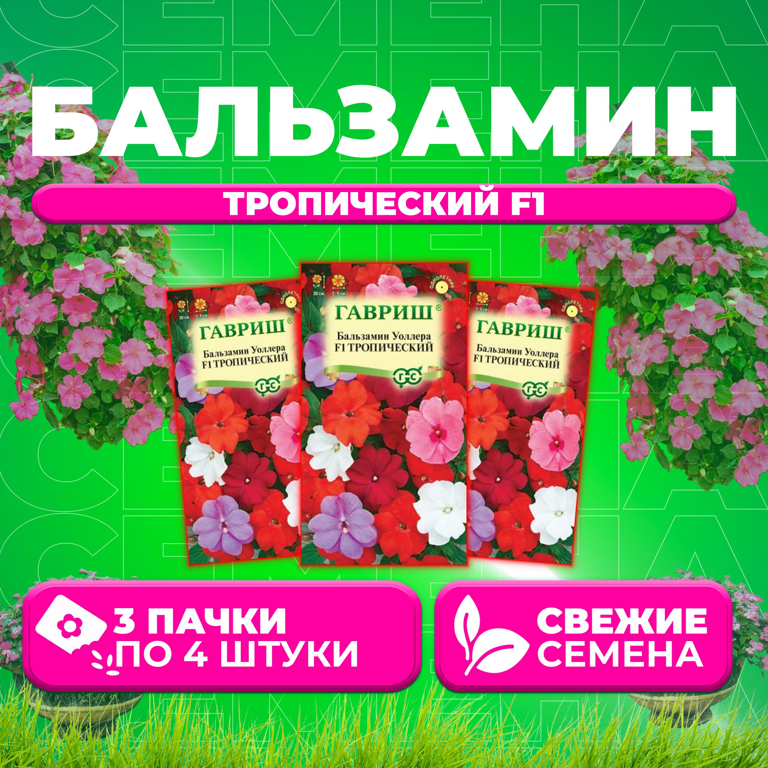 

Семена Бальзамин Уоллера Тропический F1, смесь, 4шт, Гавриш, Цветочная коллекция (3 уп)