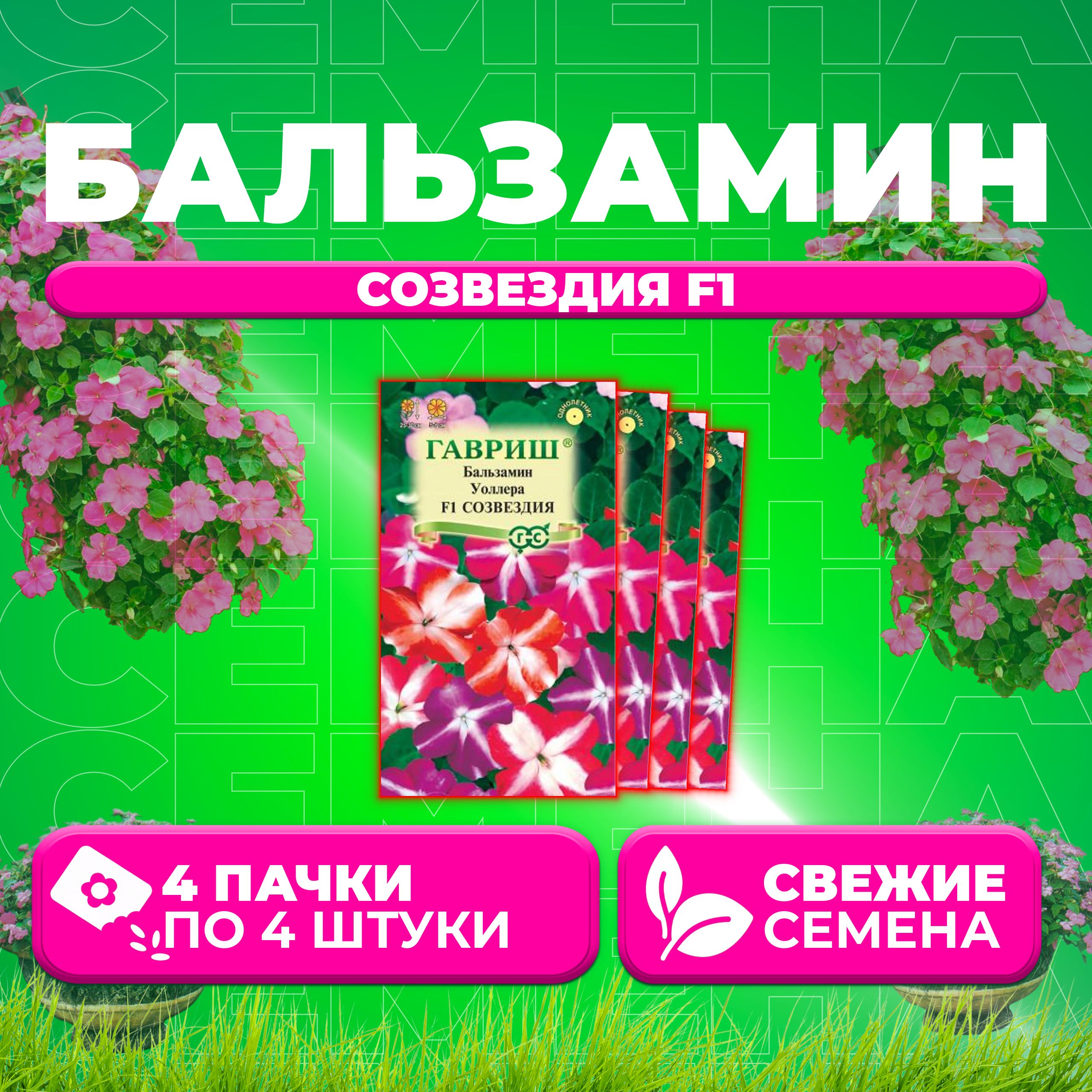 

Семена Бальзамин Уоллера Созвездия F1, смесь, 4шт, Гавриш, Цветочная коллекция (4 уп)