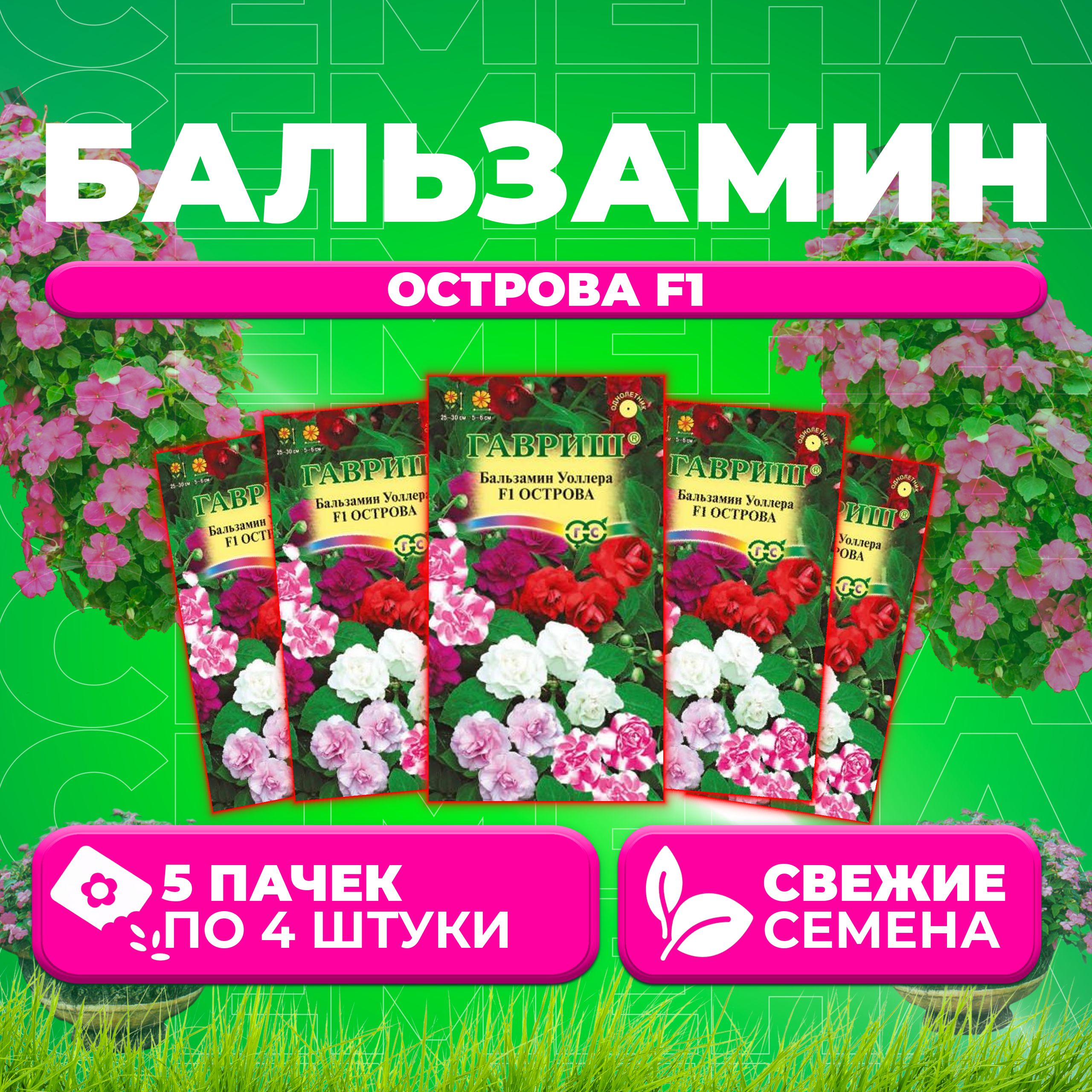 

Семена Бальзамин Уоллера Острова F1, смесь, 4шт, Гавриш, Цветочная коллекция (5 уп)