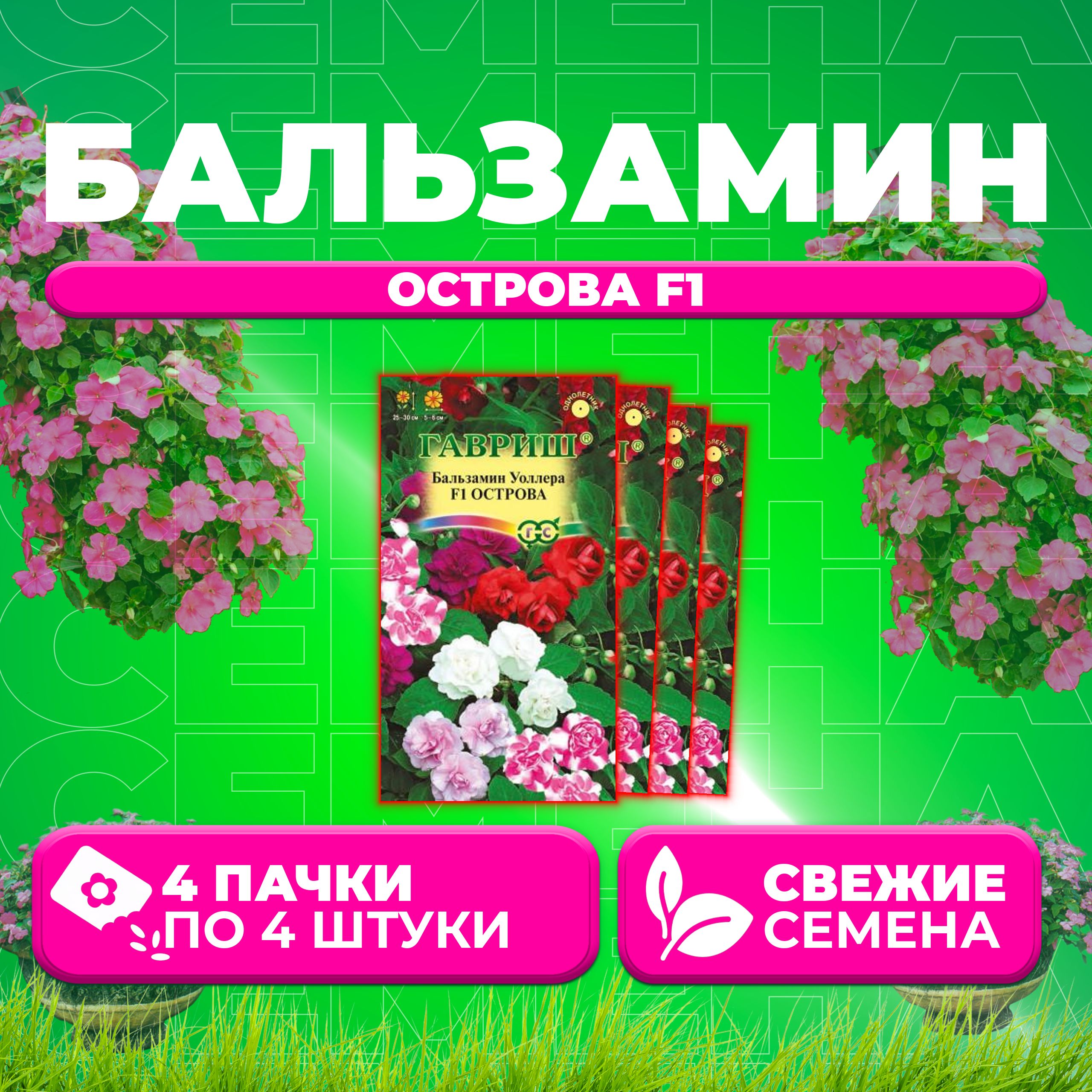 

Семена Бальзамин Уоллера Острова F1, смесь, 4шт, Гавриш, Цветочная коллекция (4 уп)
