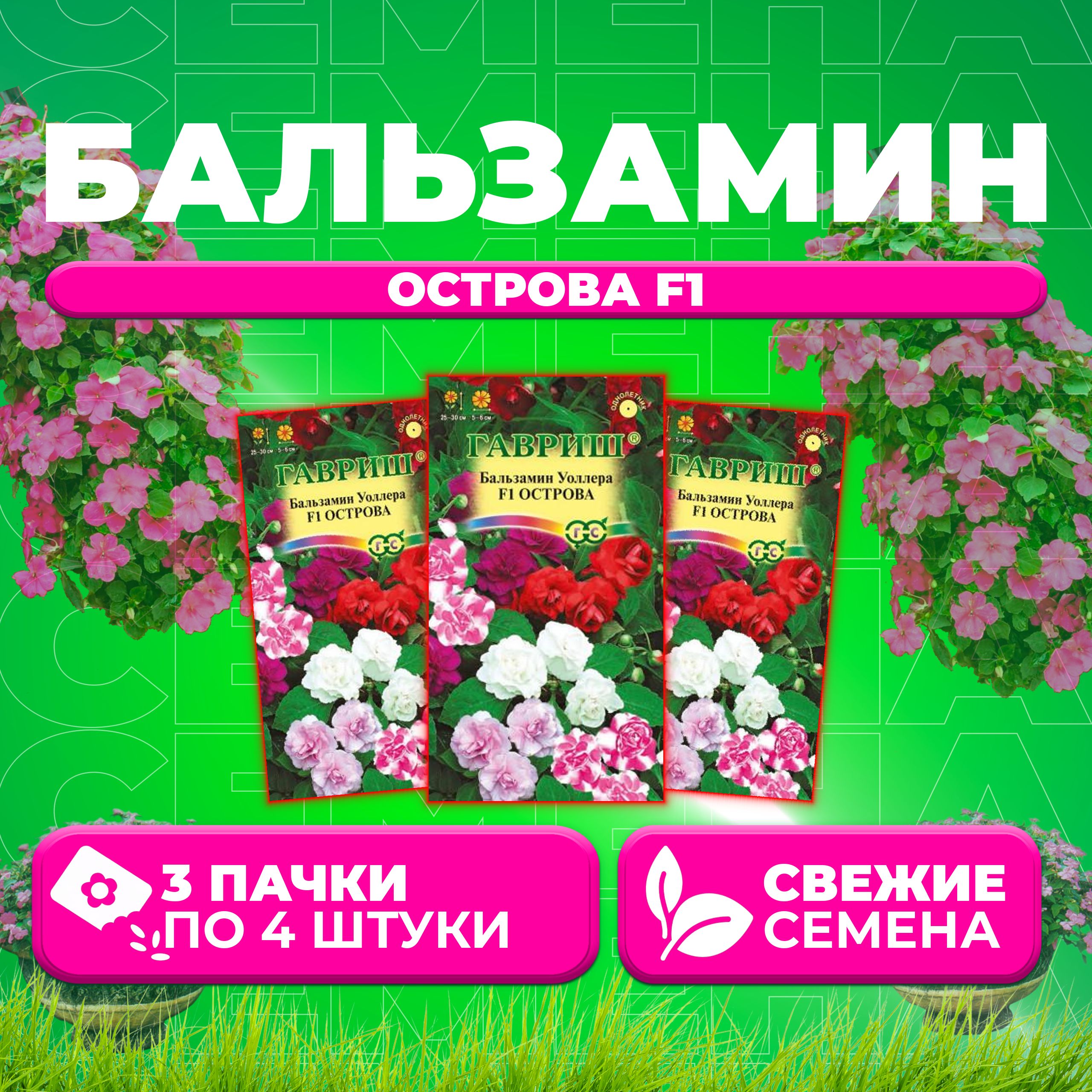 

Семена Бальзамин Уоллера Острова F1, смесь, 4шт, Гавриш, Цветочная коллекция (3 уп)