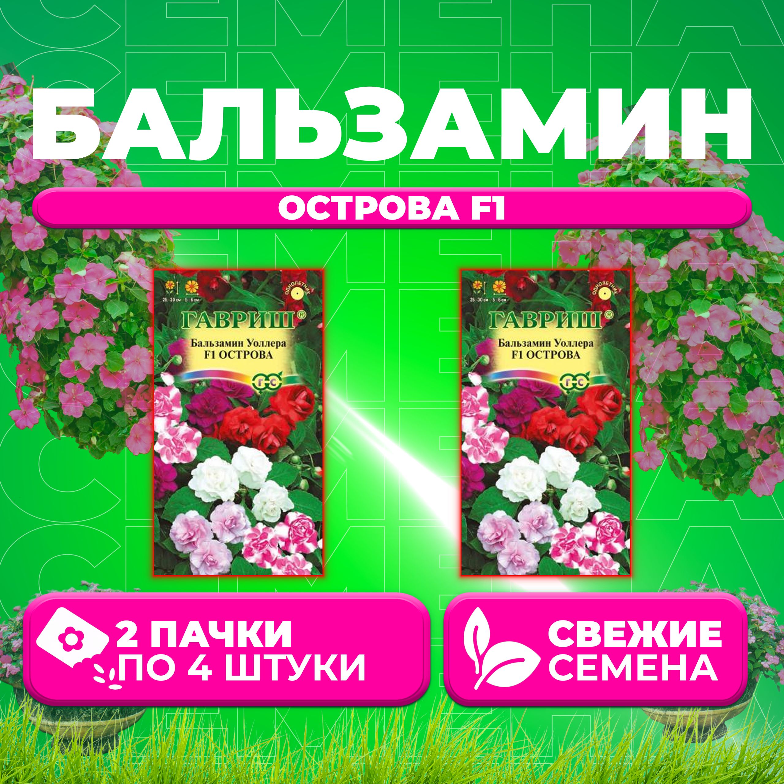 

Семена Бальзамин Уоллера Острова F1, смесь, 4шт, Гавриш, Цветочная коллекция (2 уп)