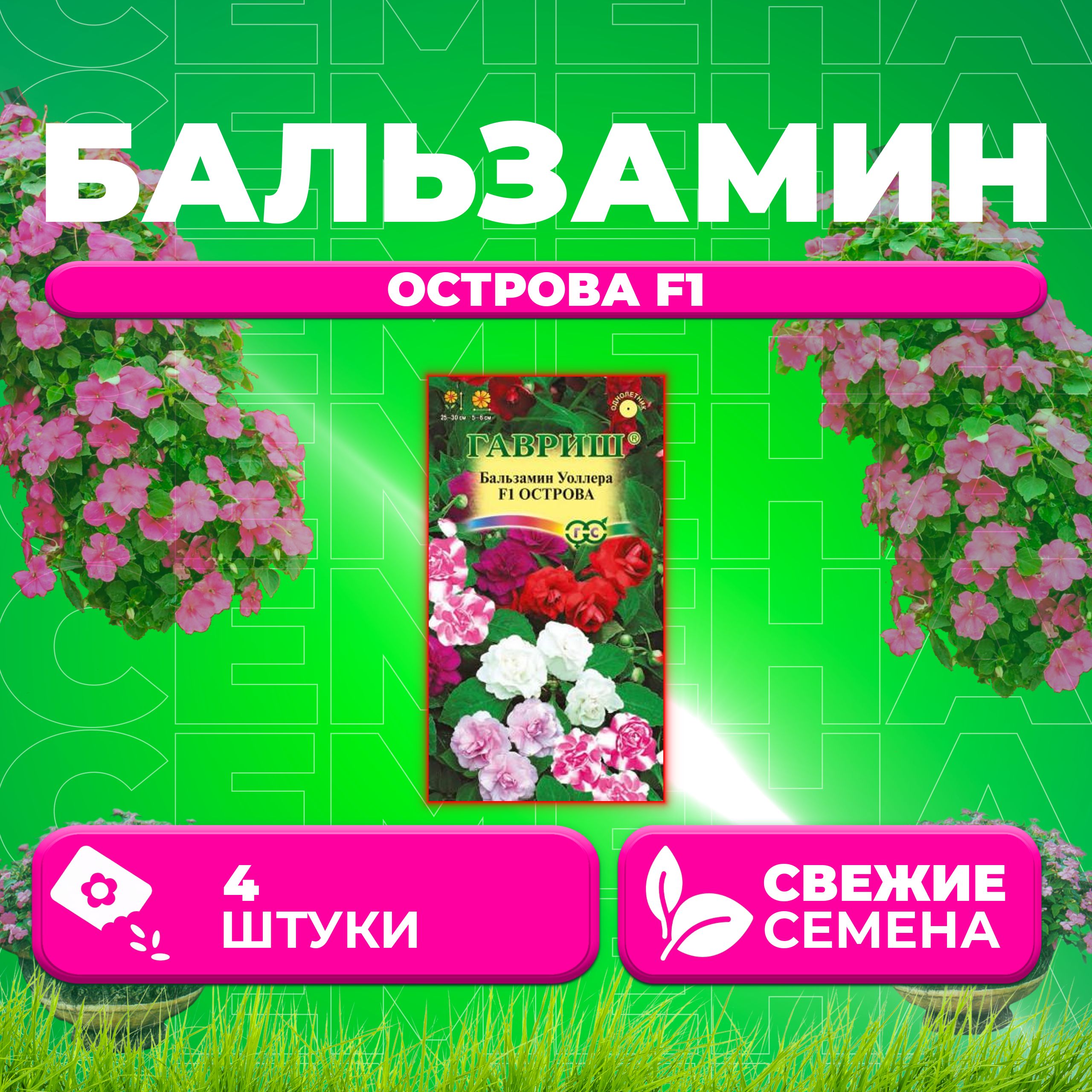 

Семена Бальзамин Уоллера Острова F1, смесь, 4шт, Гавриш, Цветочная коллекция (1 уп)