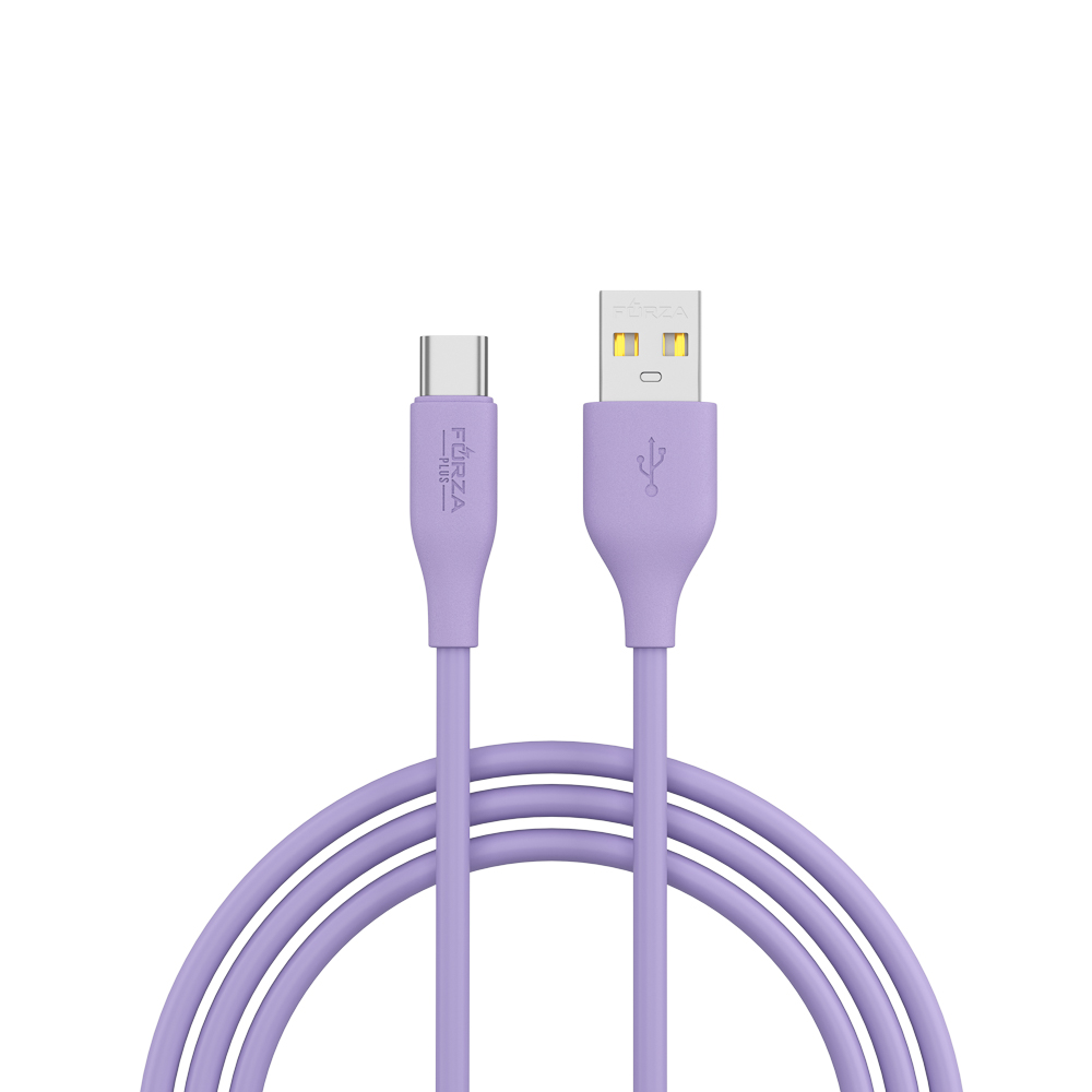 

Сетевое зарядное устройство Forza USB Type-C 1xUSB 0 А