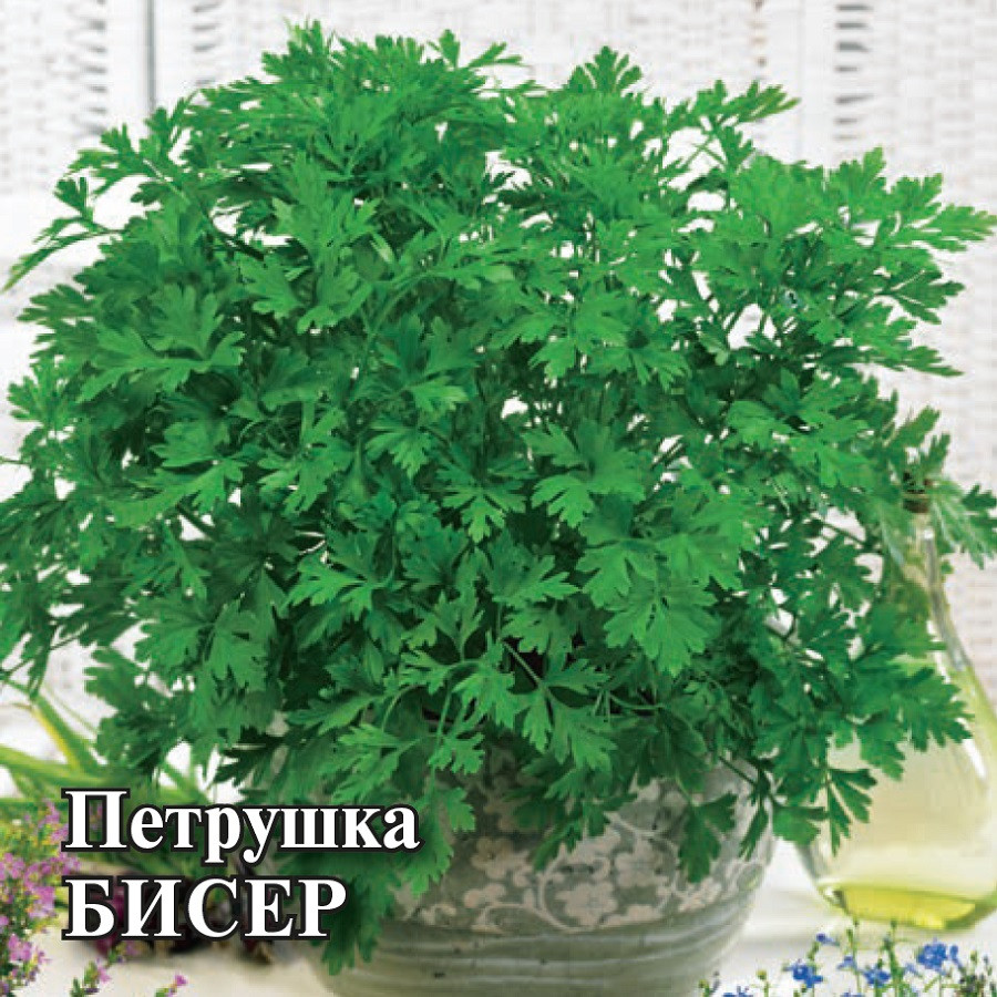 

Семена петрушка Бисер Гавриш 1910213986-5 5 уп.