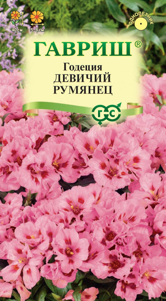

Семена годеция Девичий румянец Гавриш 1071857558-10 10 уп.