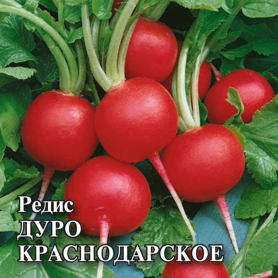 

Семена редис Дуро Краснодарское Гавриш 1026996800-5 5 уп.