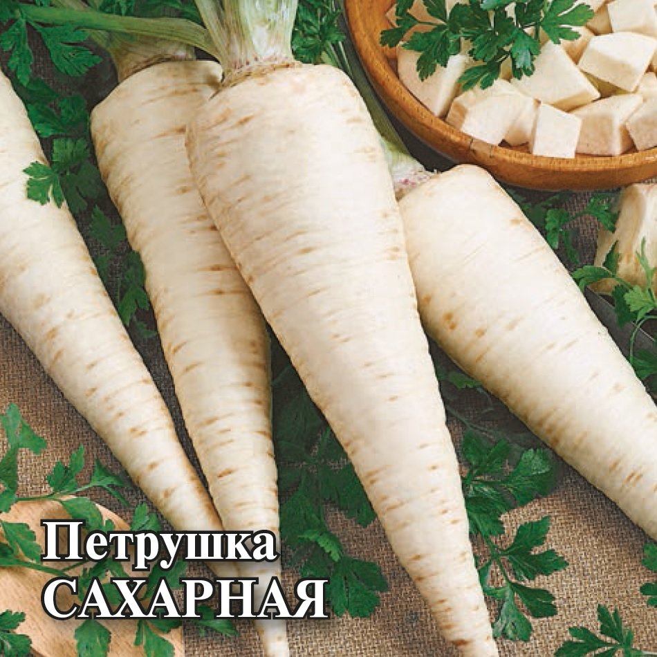 

Семена петрушка Сахарная Гавриш 1026996793-10 10 уп.