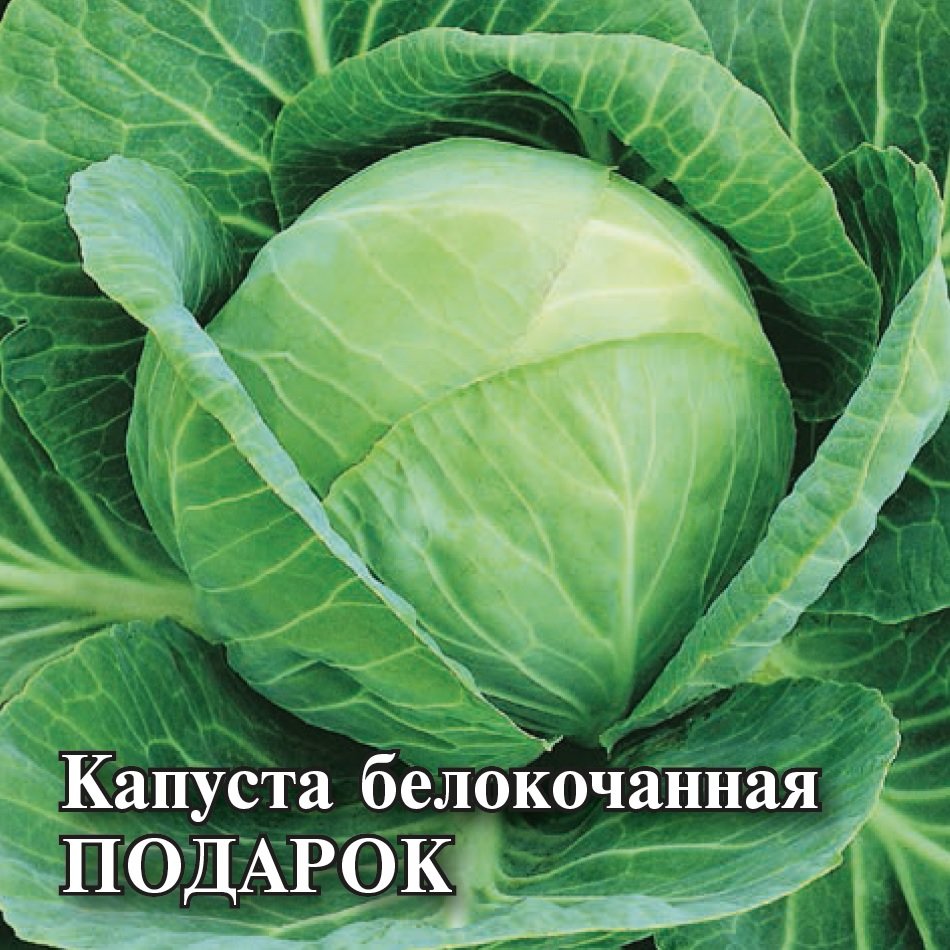 

Семена капуста белокочанная Подарок Гавриш 1026996737-5 5 уп.