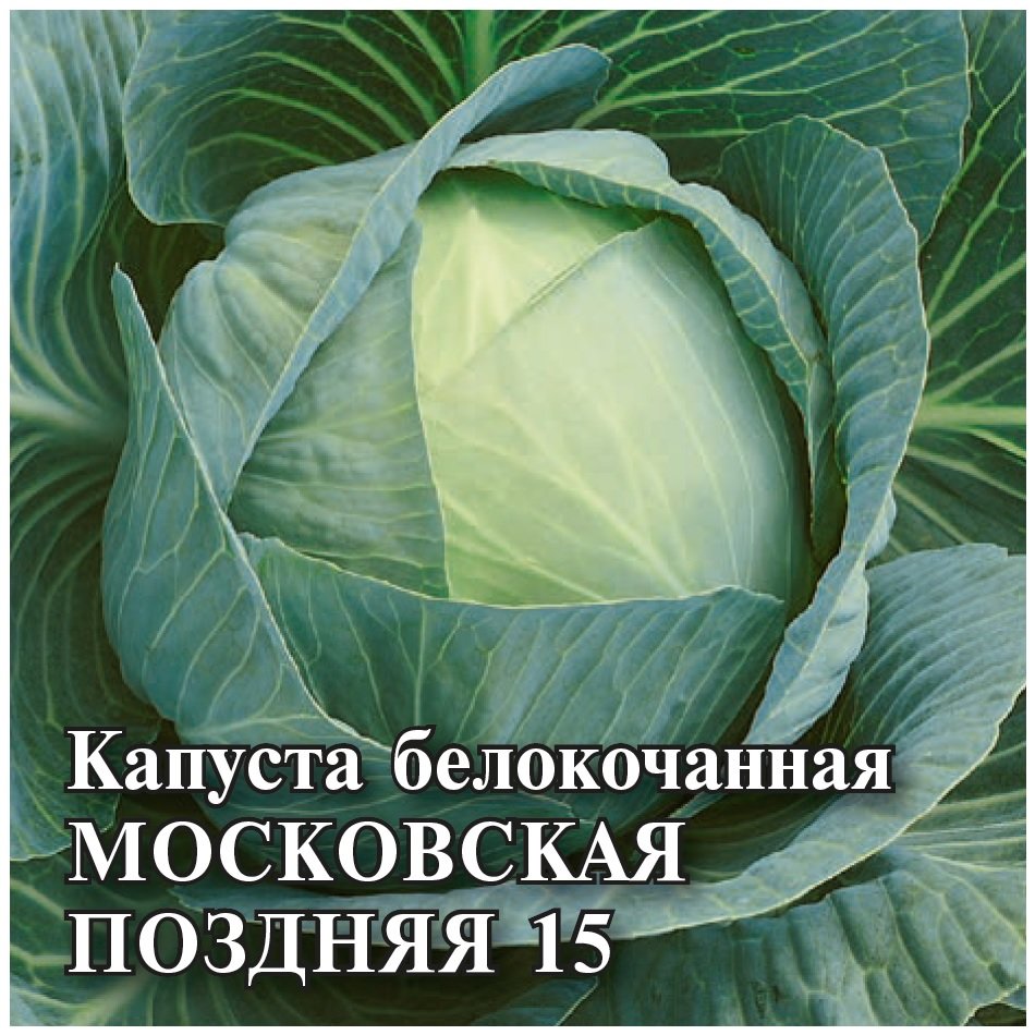 

Семена капуста белокочанная Московская поздняя 15 Гавриш 1026996736-5 5 уп.