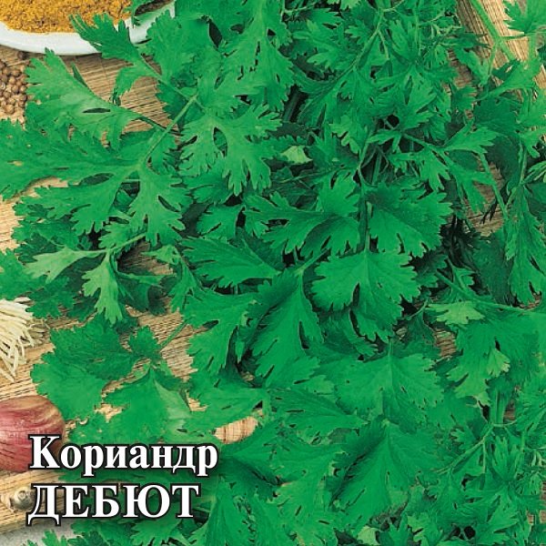 

Семена кориандр Дебют Гавриш 10005480-10 10 уп.
