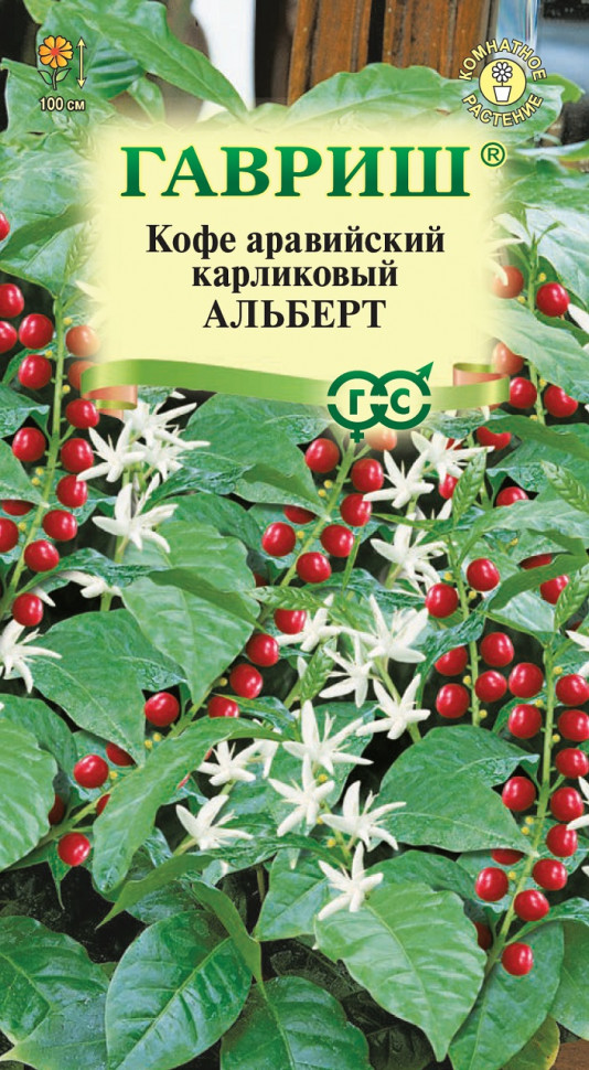 

Семена, Гавриш, Кофе аравийский карликовый Альберт, 10 упаковок по 5 семян
