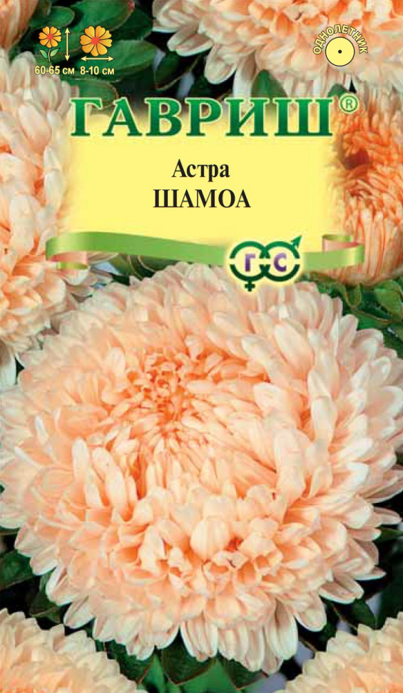 

Семена астра Шамоа Гавриш 001126-10 10 уп.