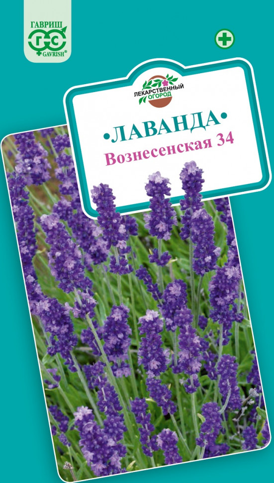 

Семена лаванда Вознесенская 34 Гавриш 000176-10 10 уп.