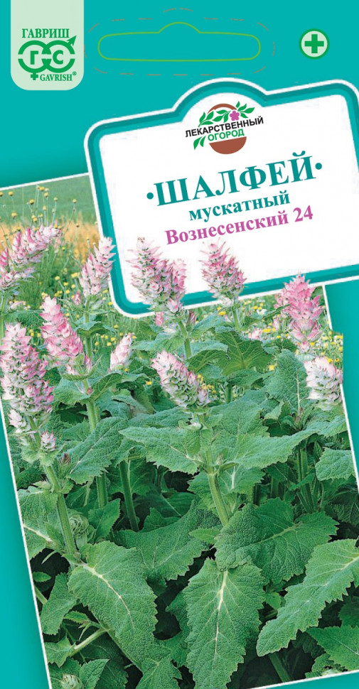 

Семена шалфей Вознесенский 24 Гавриш 00001918-10 10 уп.
