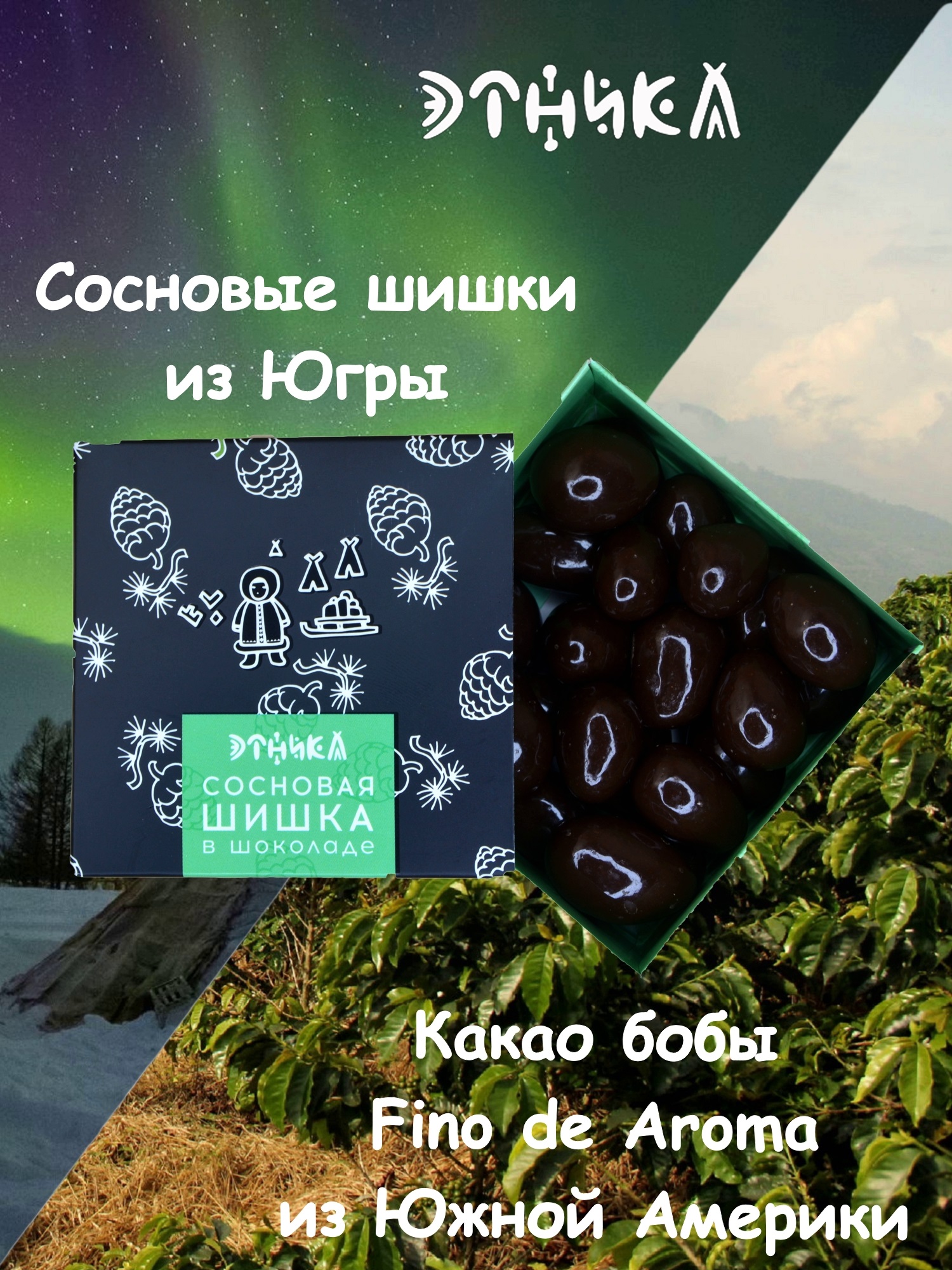 Сосновая шишка в шоколаде Этника, 100 г