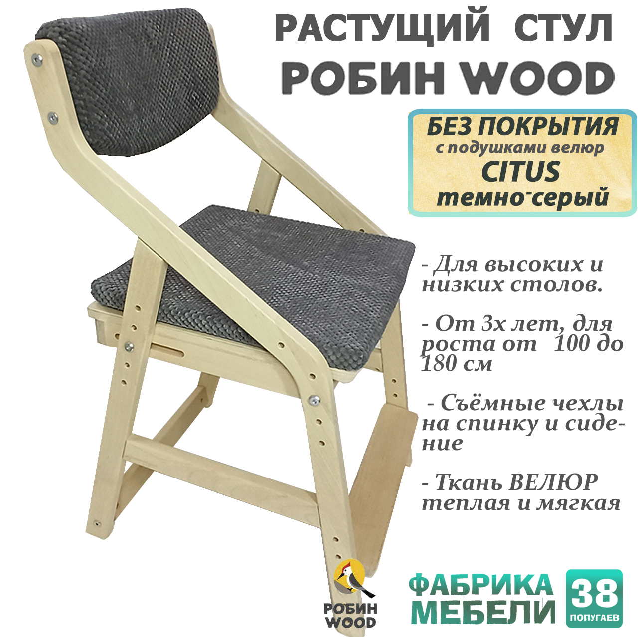 

Растущий стул детский Робин WOOD 38 попугаев без покрытия с подушками CITUS темно-серый, WOOD