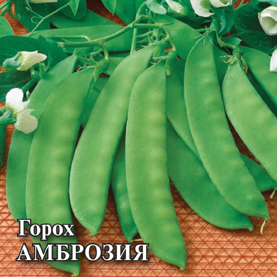 

Семена горох Амброзия Гавриш 1071863135-2 2 уп.