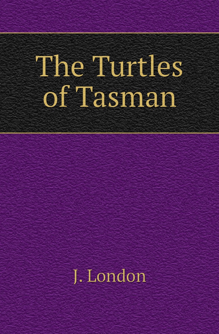 

The Turtles of Tasman